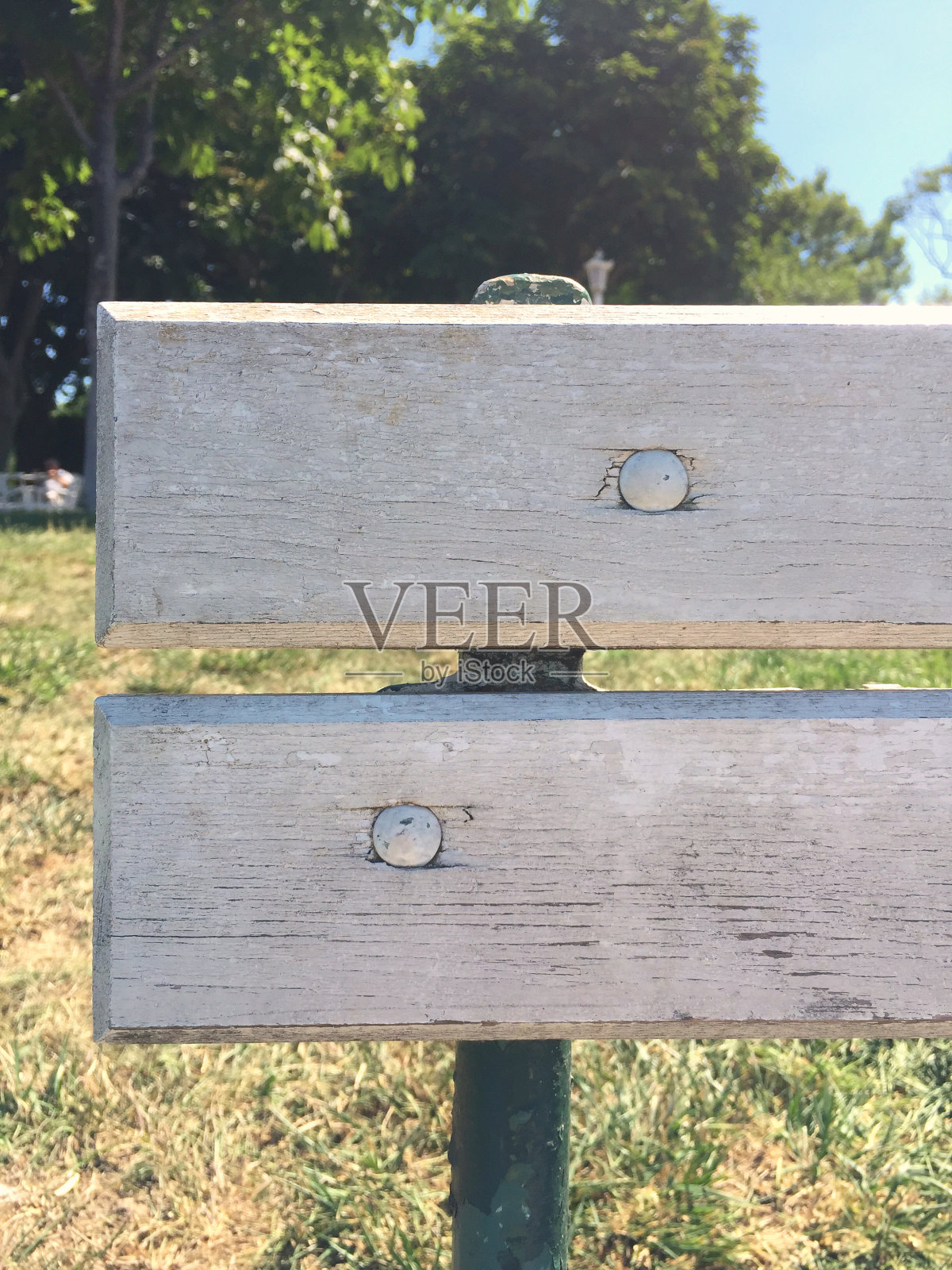 木照片摄影图片