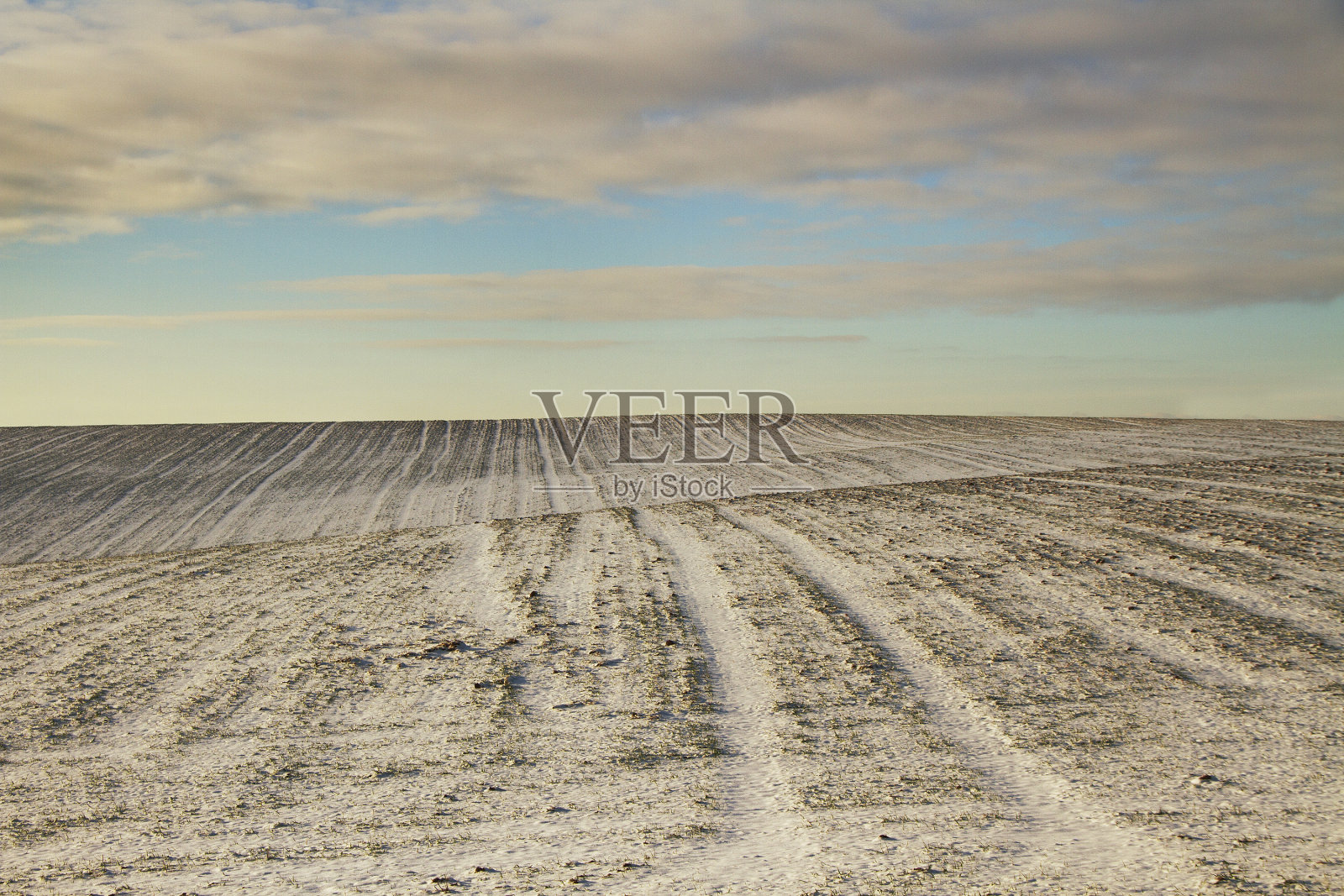 的字段。照片摄影图片