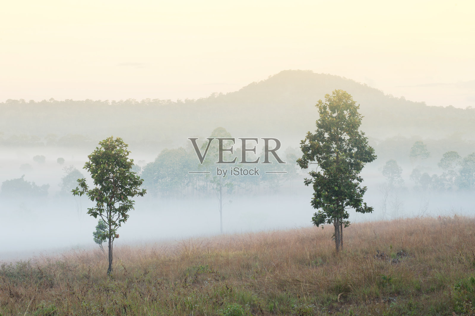 泰国东沙朗隆国家公园。照片摄影图片