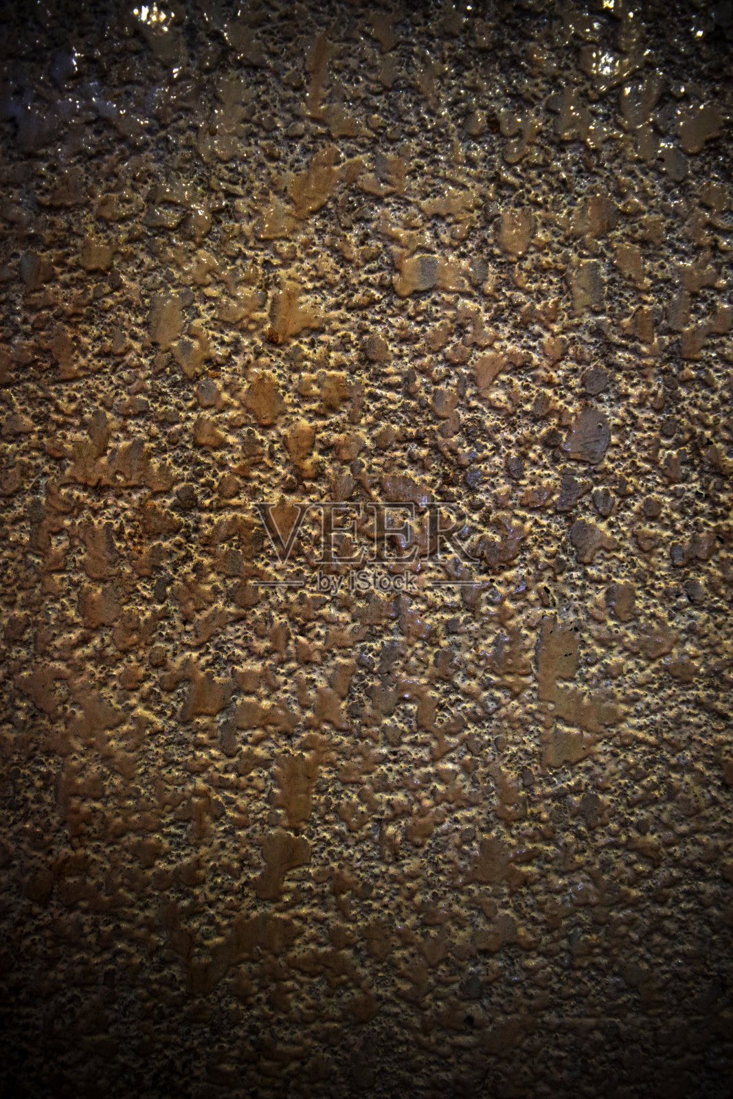 背景照片摄影图片