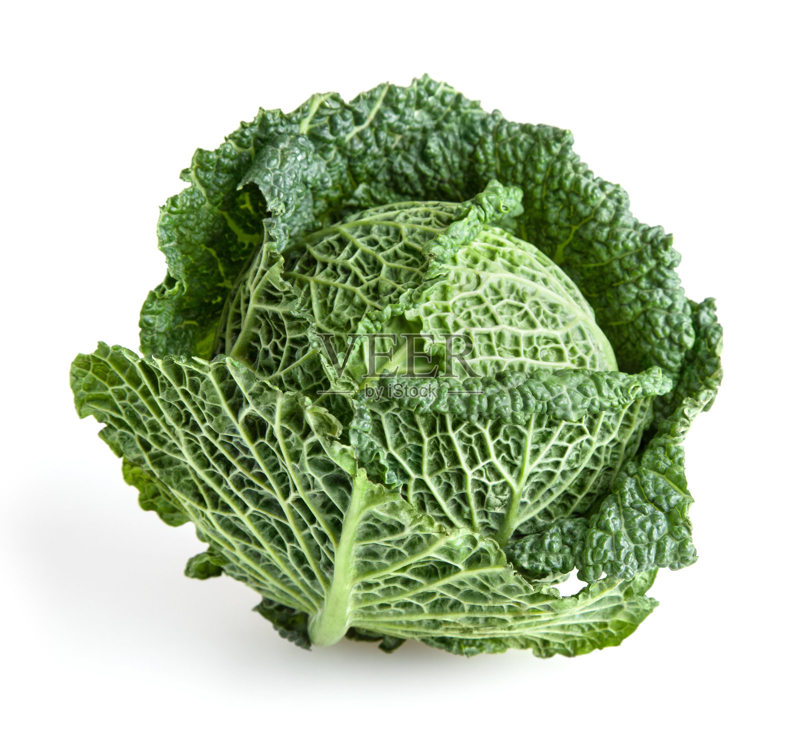 萨伏伊白菜孤立在白色背景与剪切路径照片摄影图片