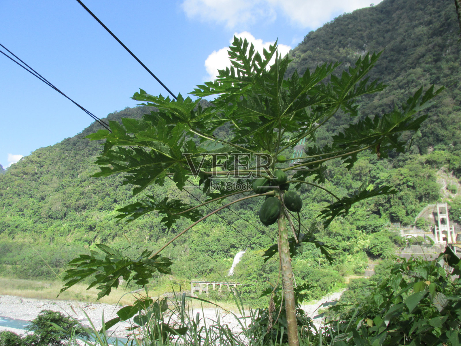 山Hualien照片摄影图片