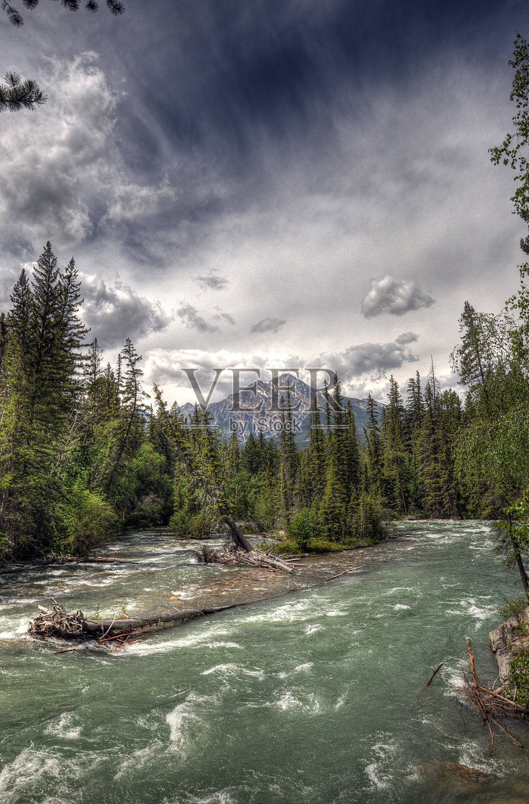 加拿大阿尔伯塔-班夫自然收藏照片摄影图片