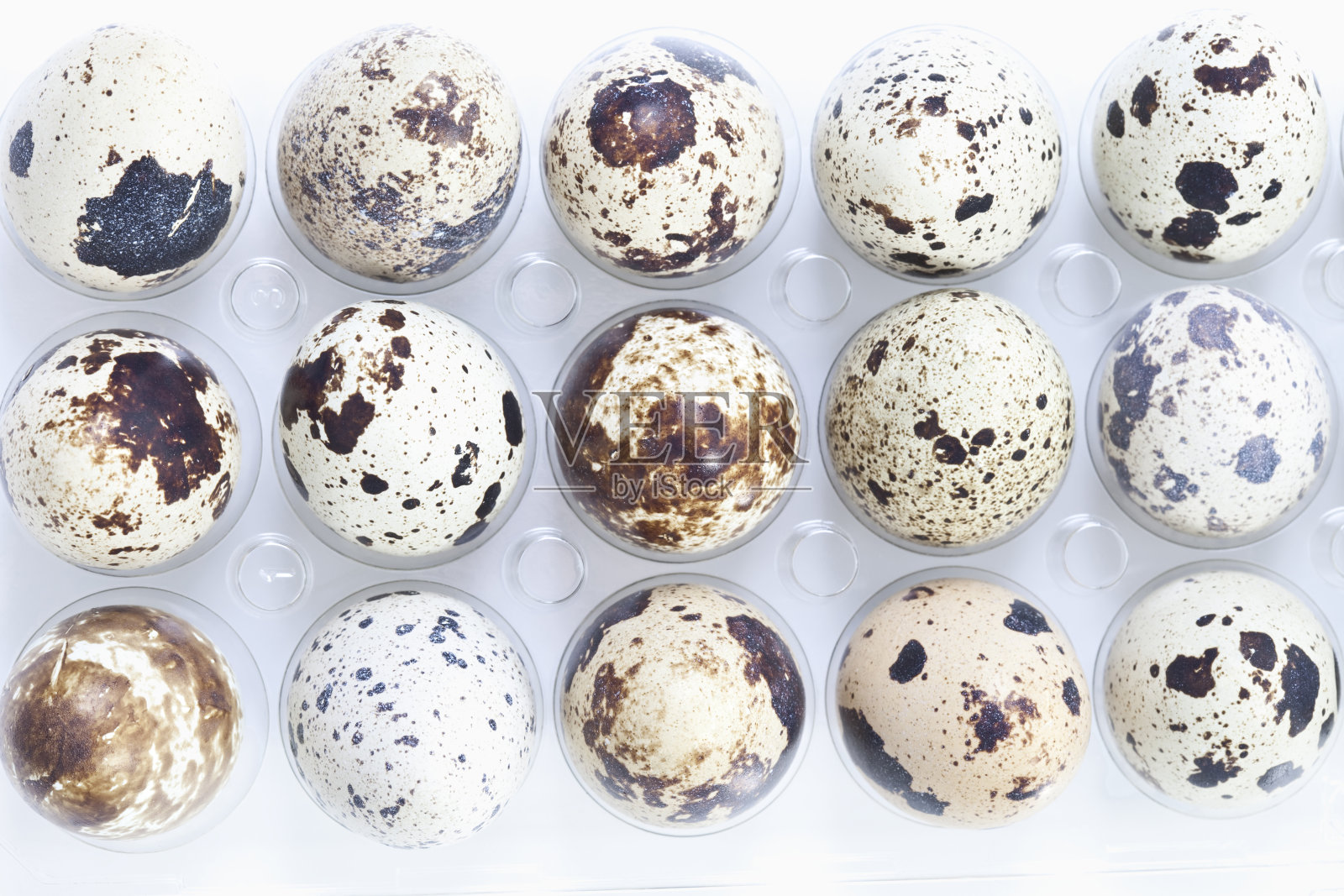 蛋盒里的斑点鹌鹑蛋照片摄影图片