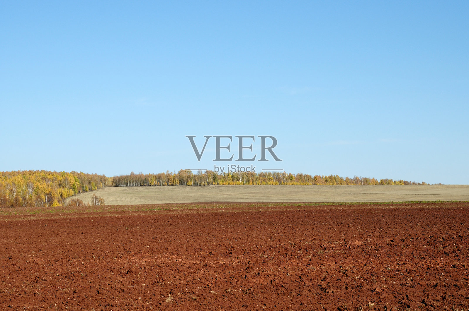 广阔草原上的蓝天。忧郁的秋天的风景。照片摄影图片