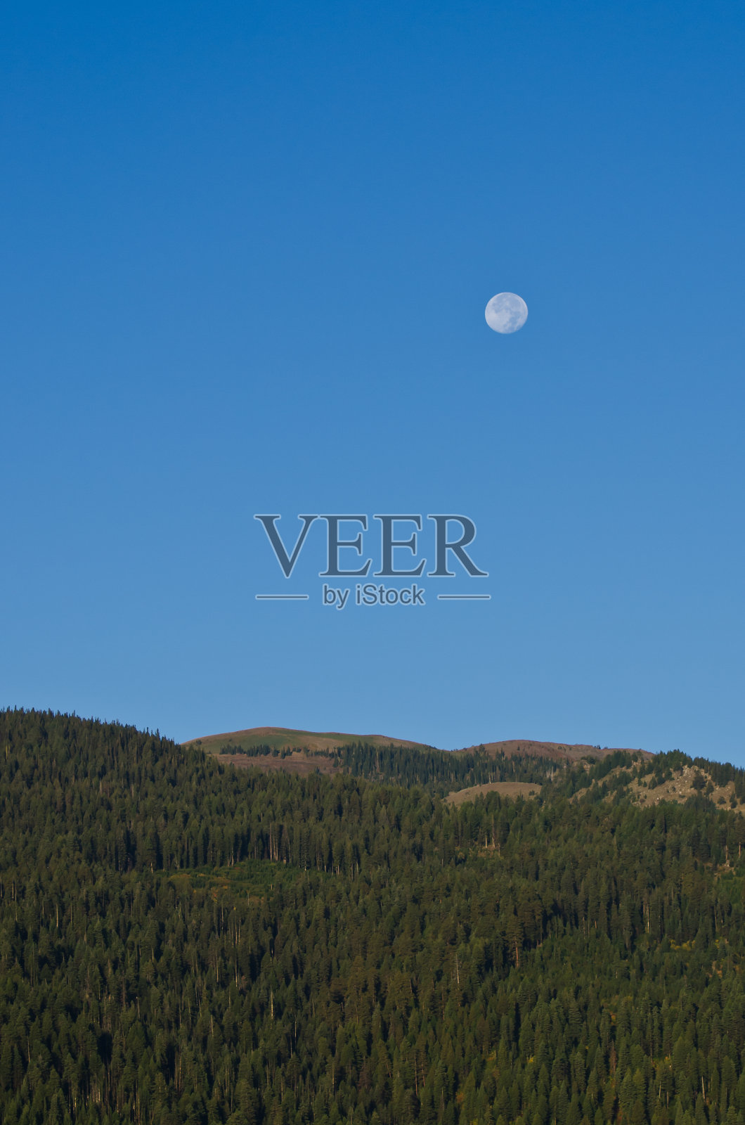 山上的满月照片摄影图片