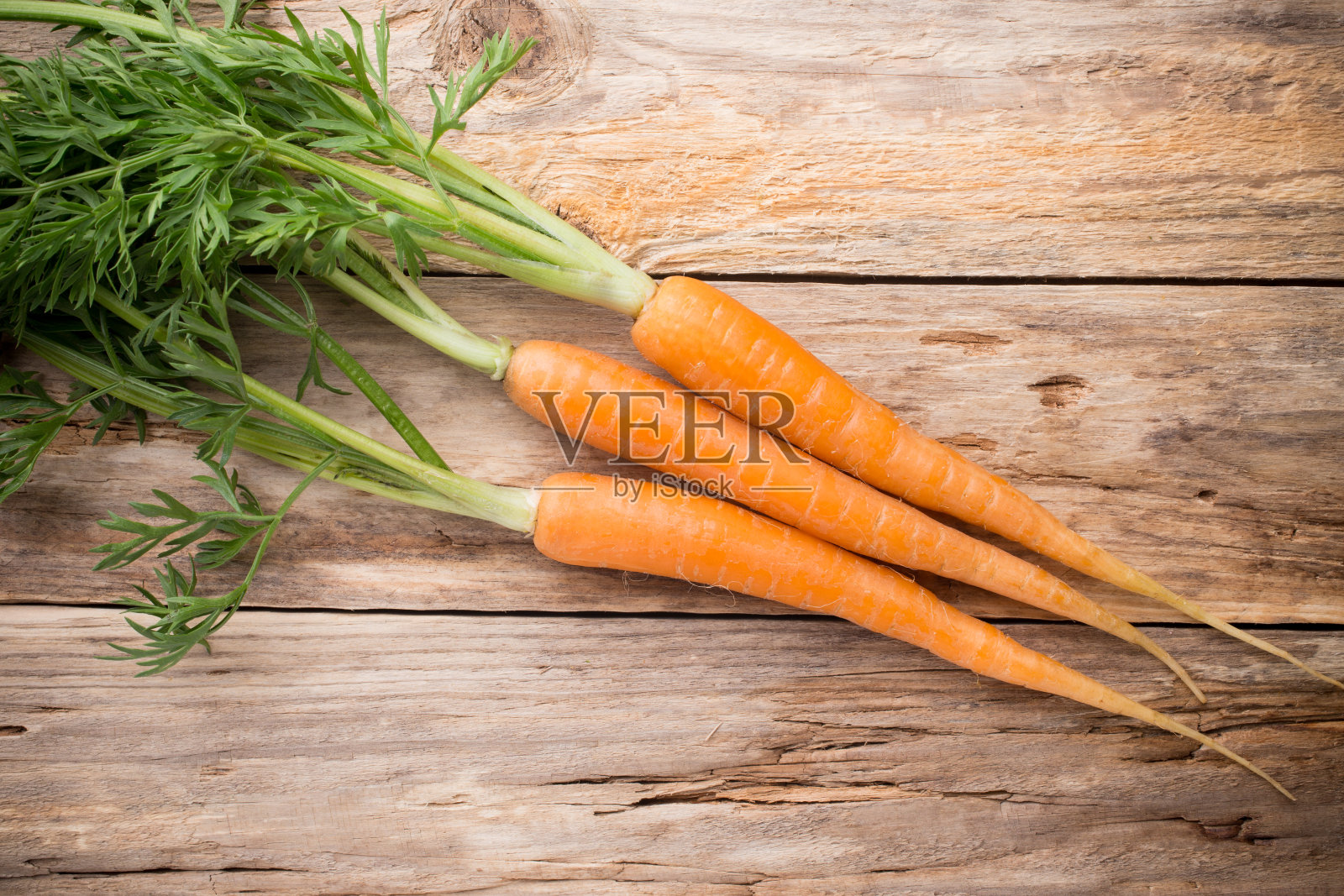 胡萝卜。照片摄影图片