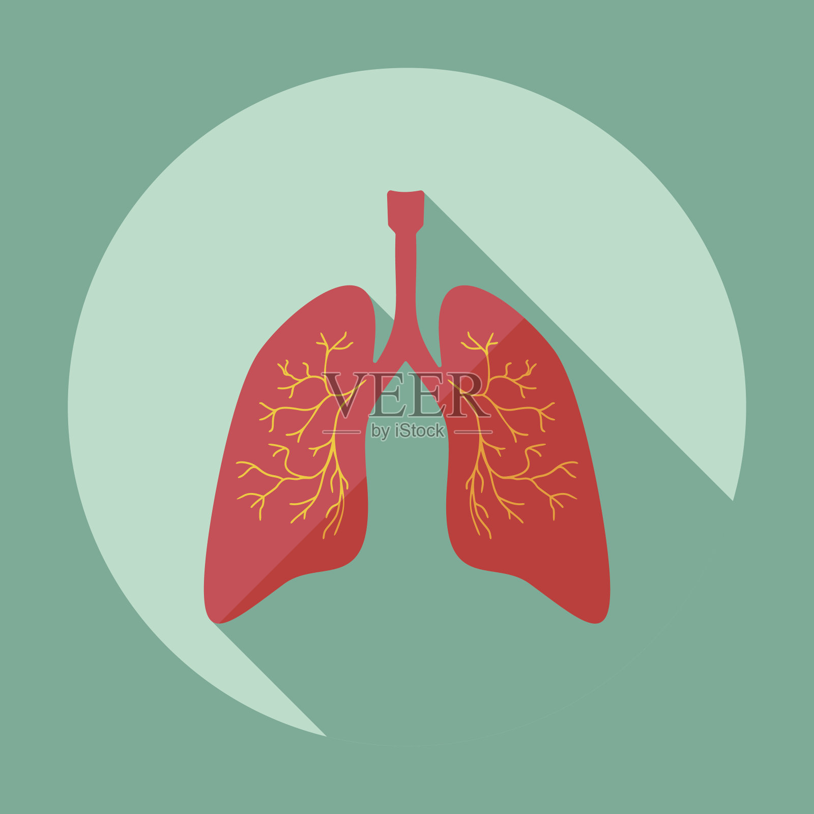 扁平的现代设计与阴影图标肺插画图片素材