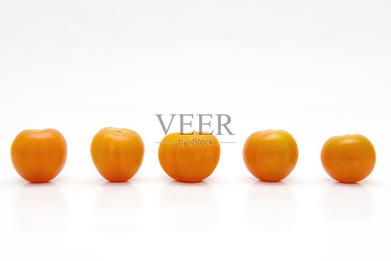 番茄照片摄影图片