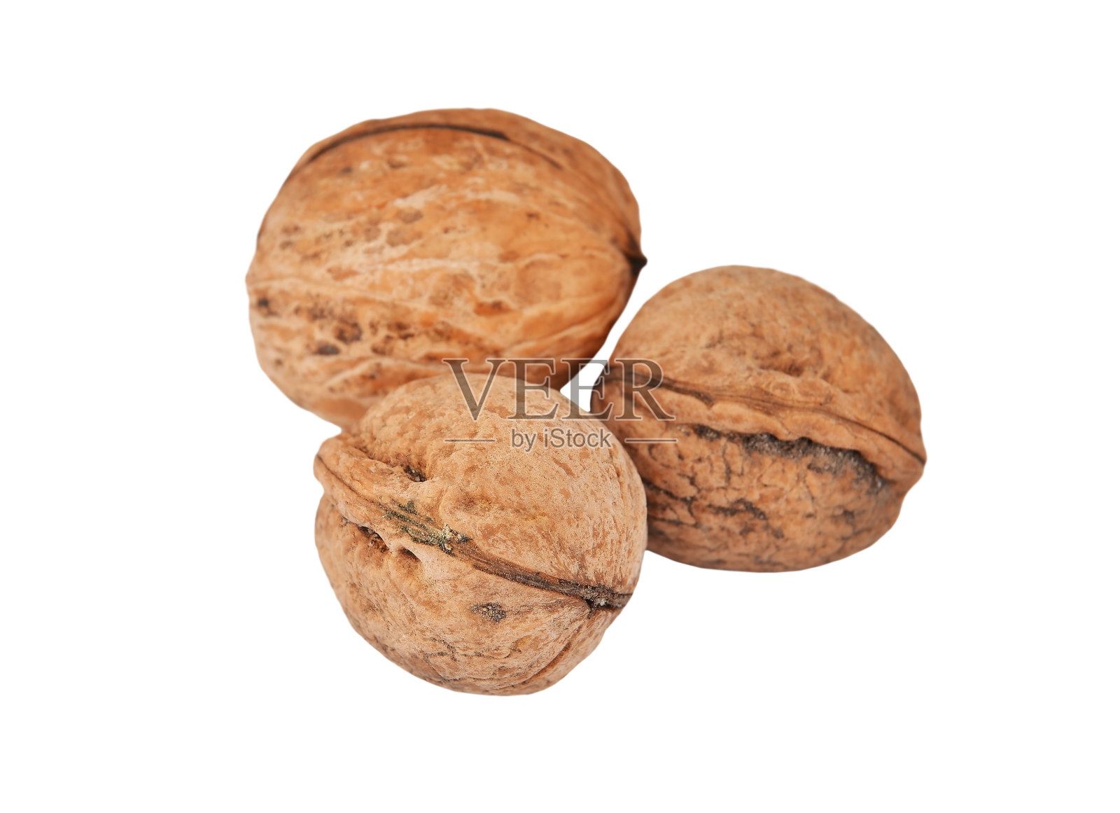 胡桃木(胡桃regia)照片摄影图片