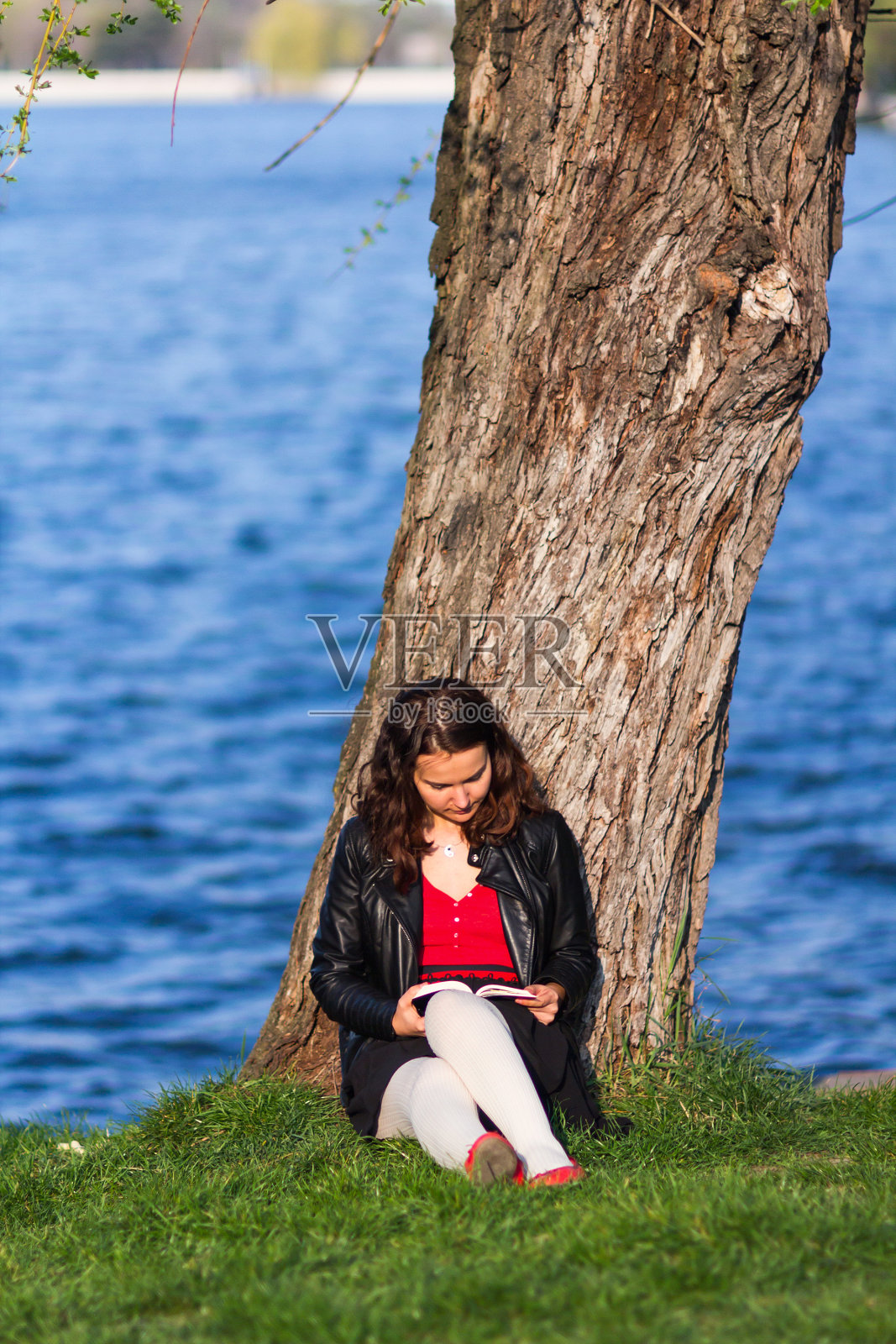 女人在看书照片摄影图片