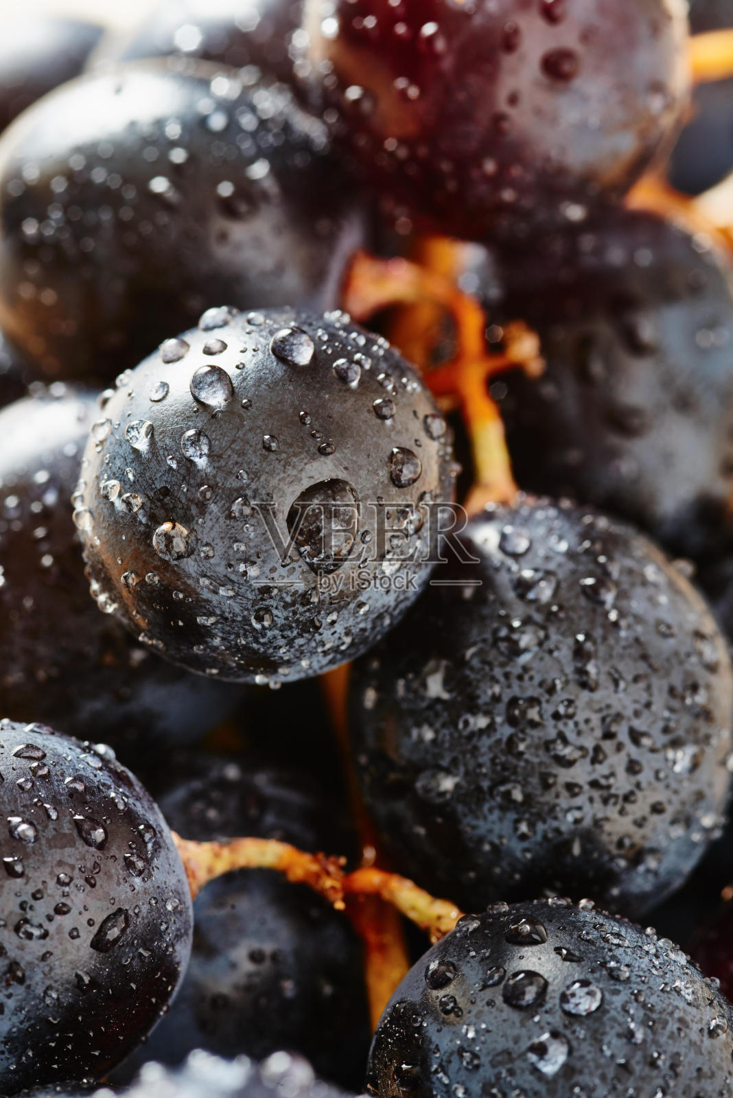 红葡萄的特写照片摄影图片