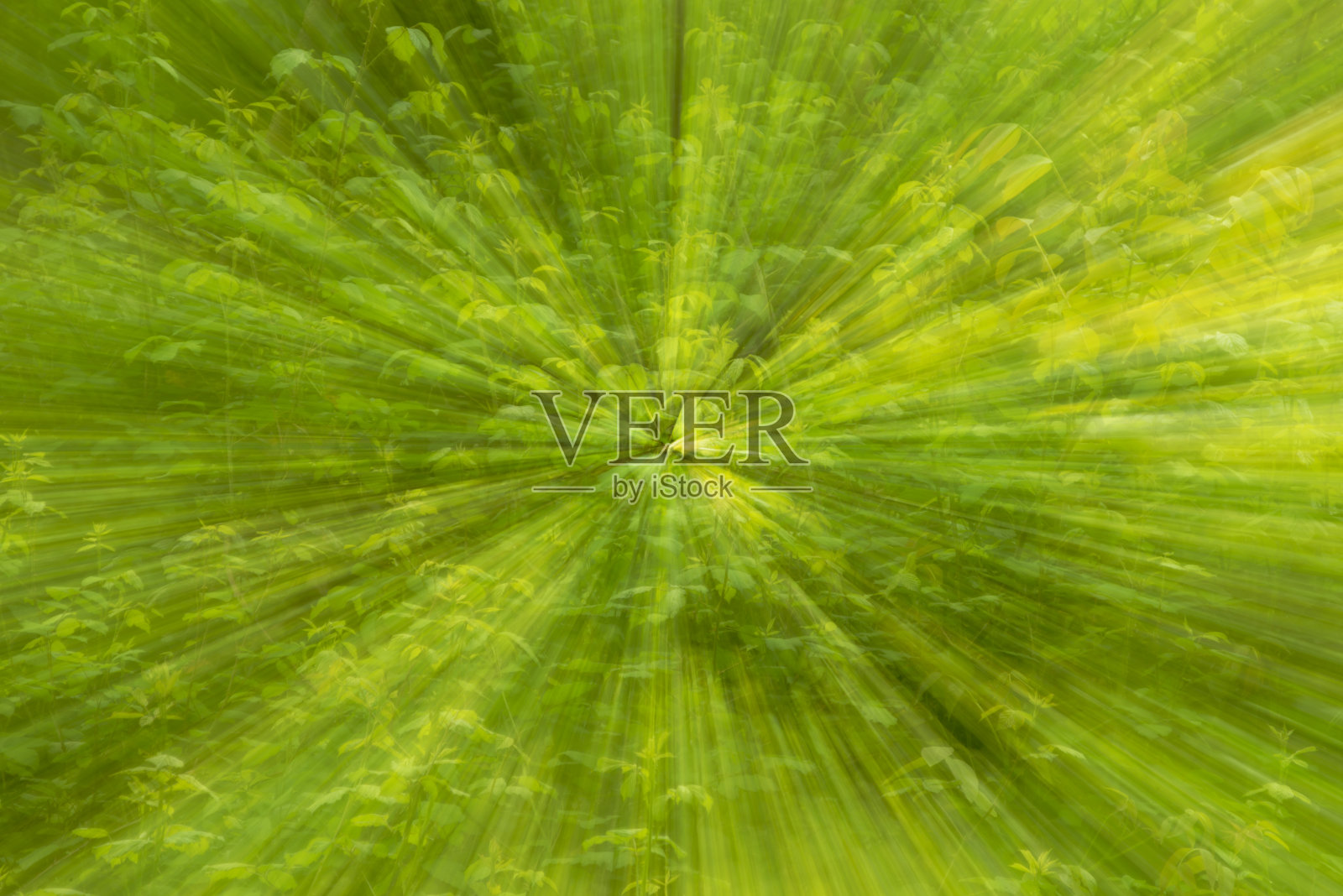 抽象的绿色背景自然爆炸，放大效果。照片摄影图片