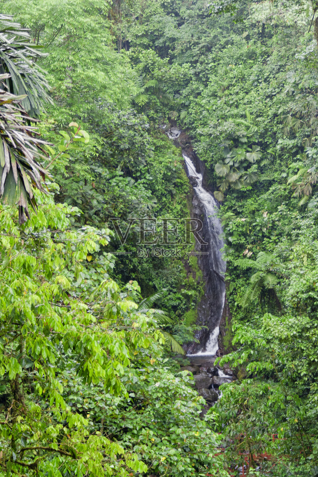 哥斯达黎加福尔图纳瀑布照片摄影图片