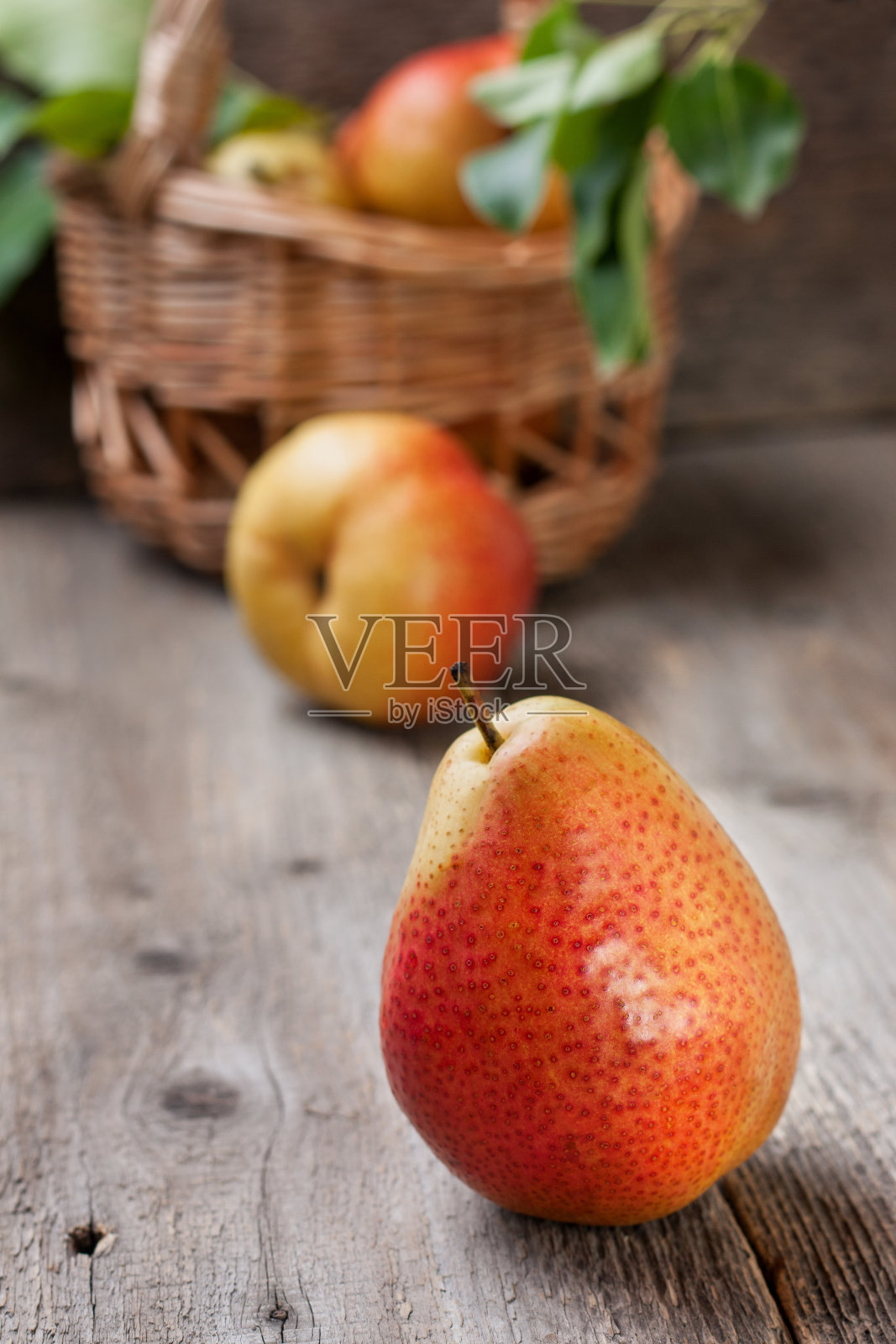 新鲜的绿叶梨照片摄影图片