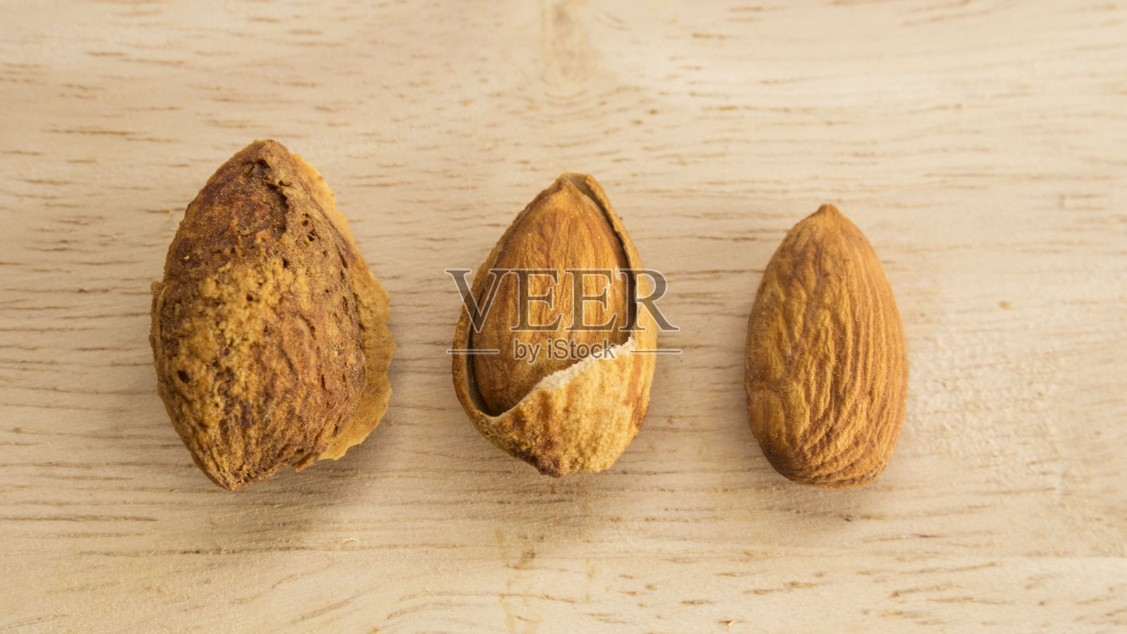 木本杏仁照片摄影图片