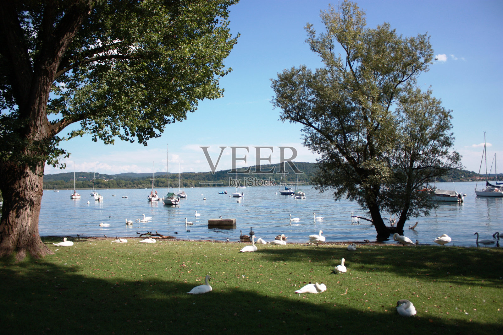 意大利皮埃蒙特，蓝天下的马焦雷湖上的帆船照片摄影图片