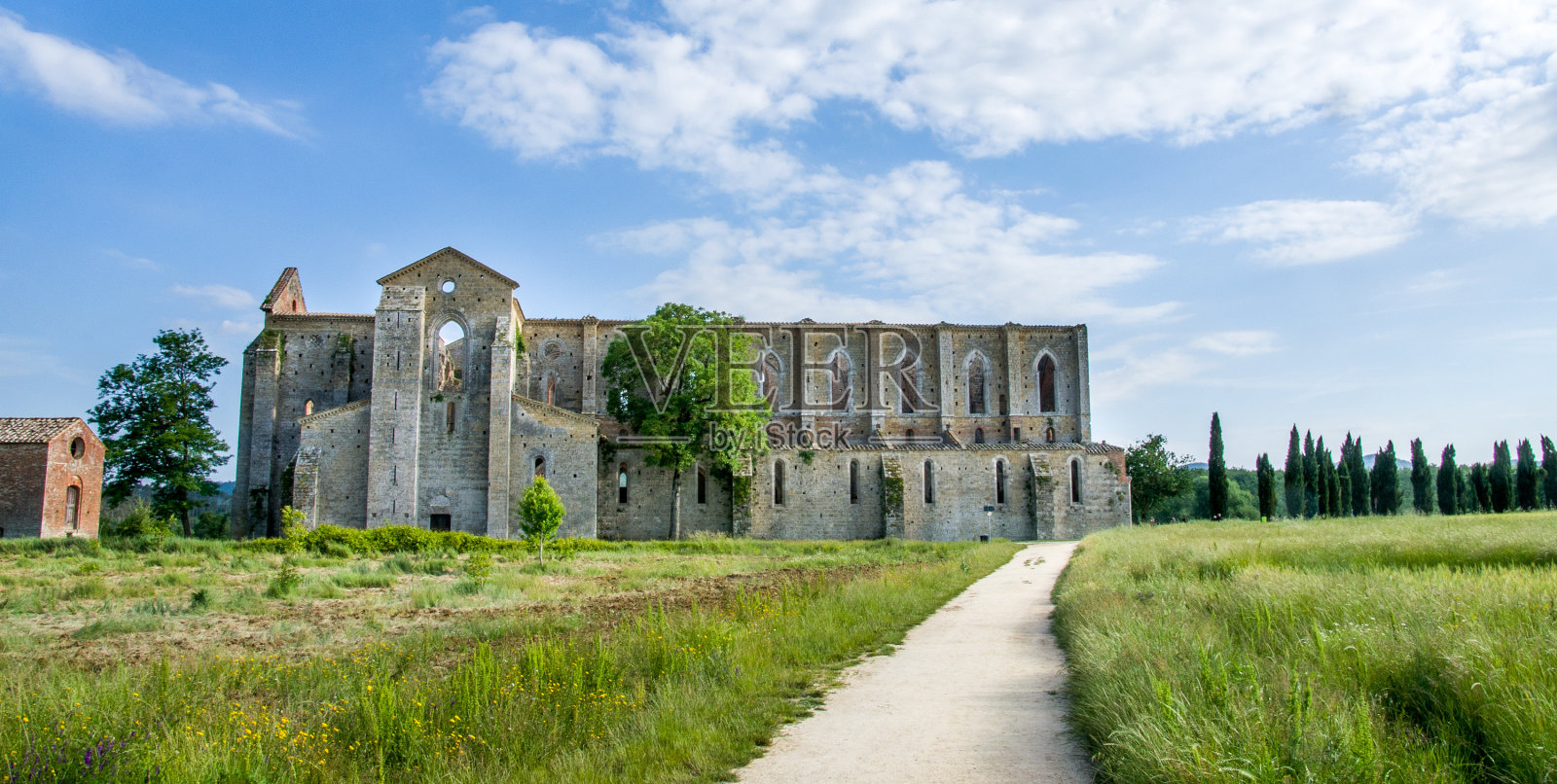 锡耶纳的圣加尔加诺教堂遗址(意大利托斯卡纳)照片摄影图片