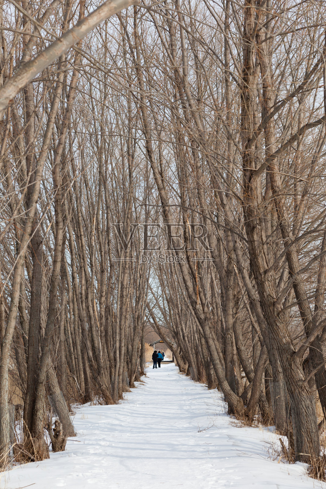 行走路径照片摄影图片