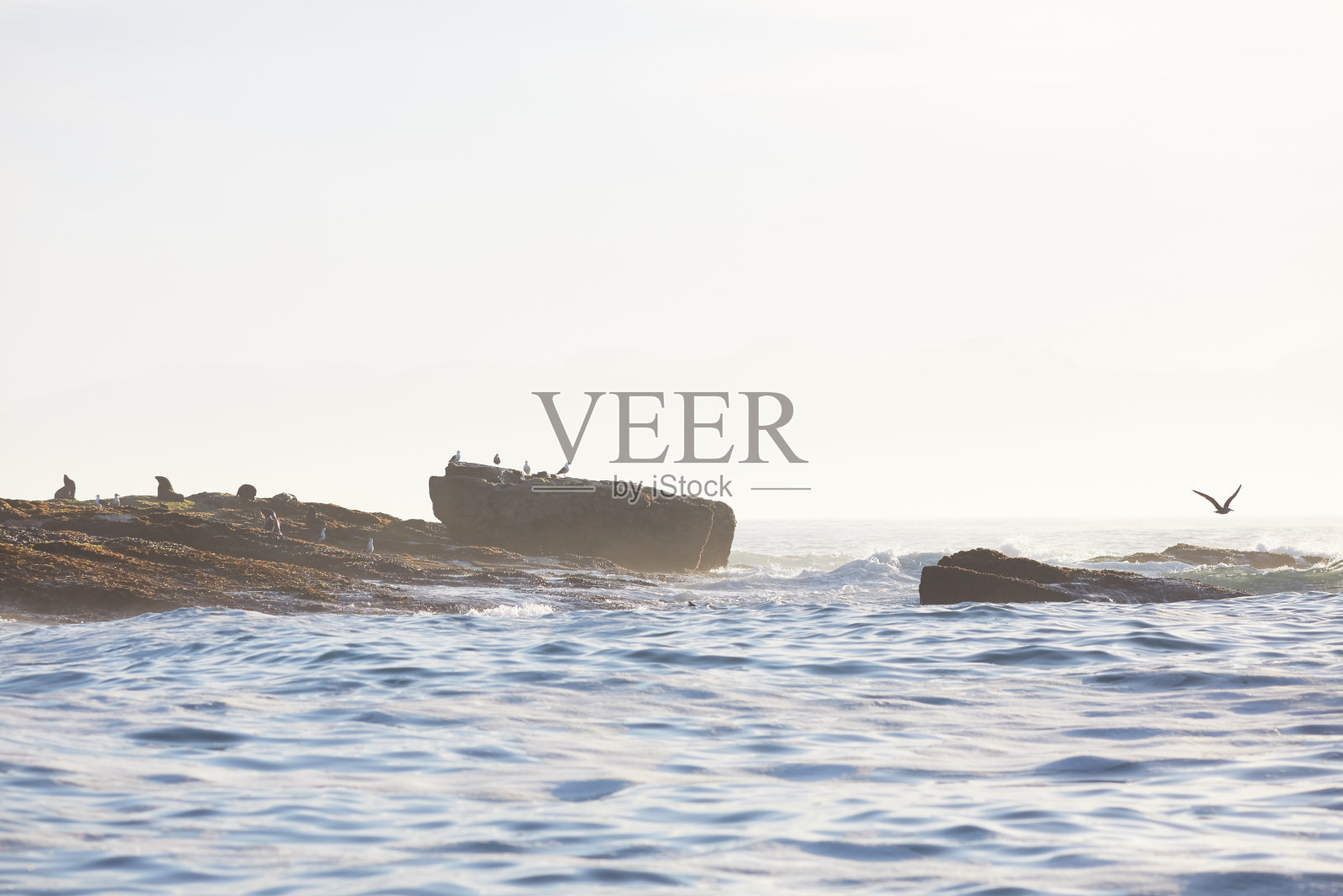 南非美丽的海景照片摄影图片