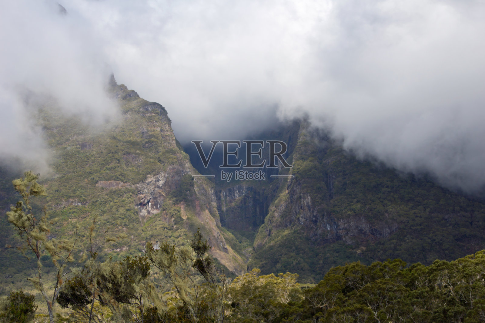 山团聚照片摄影图片