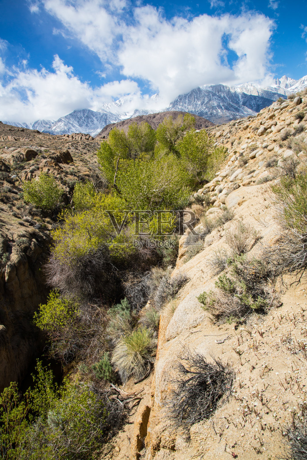 东部,祭祀照片摄影图片