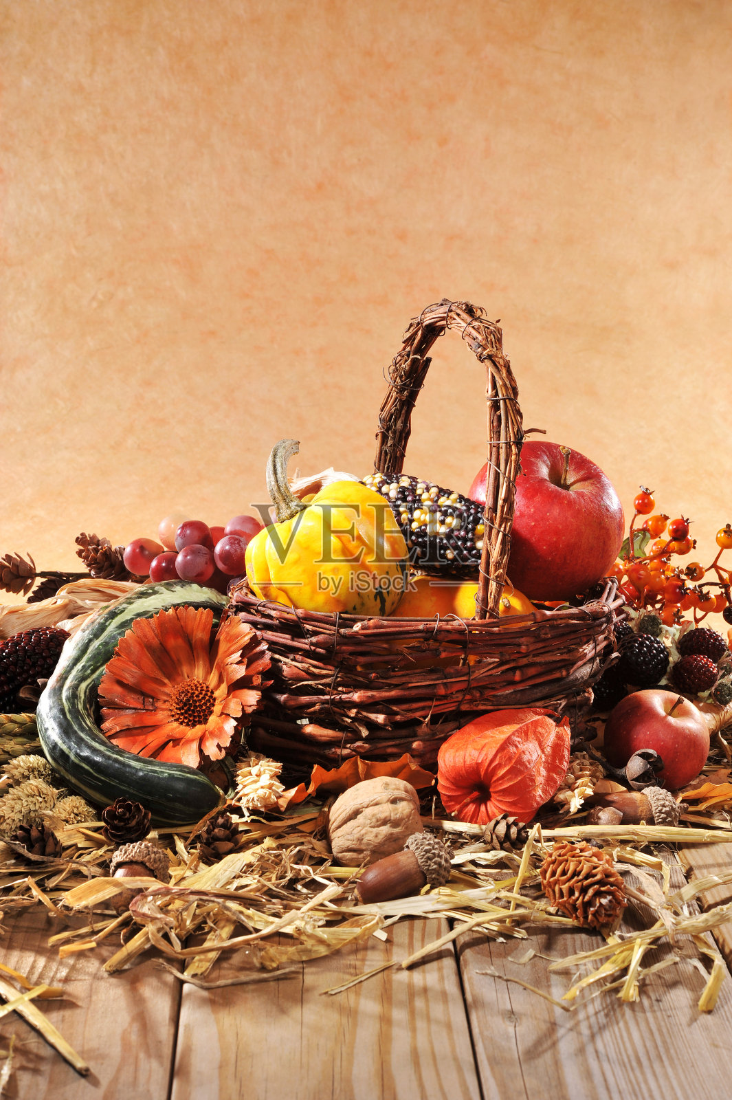 感恩节照片摄影图片