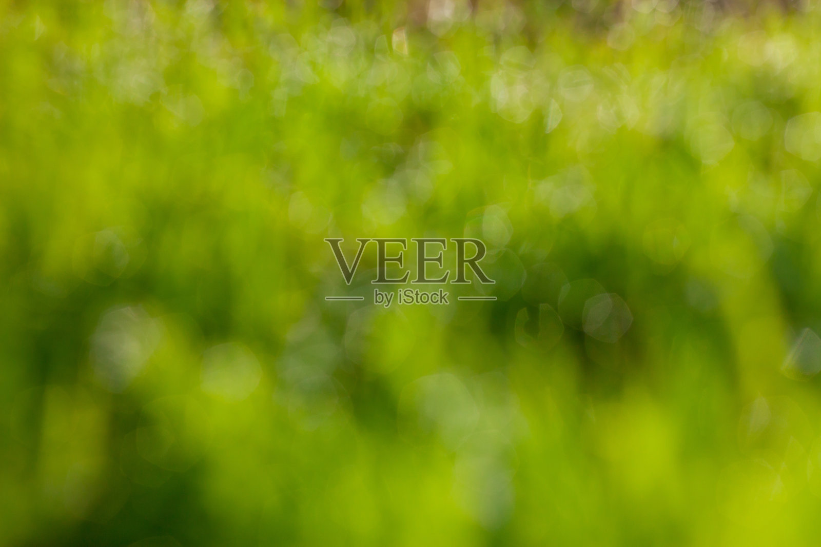 自然散景，模糊背景照片摄影图片