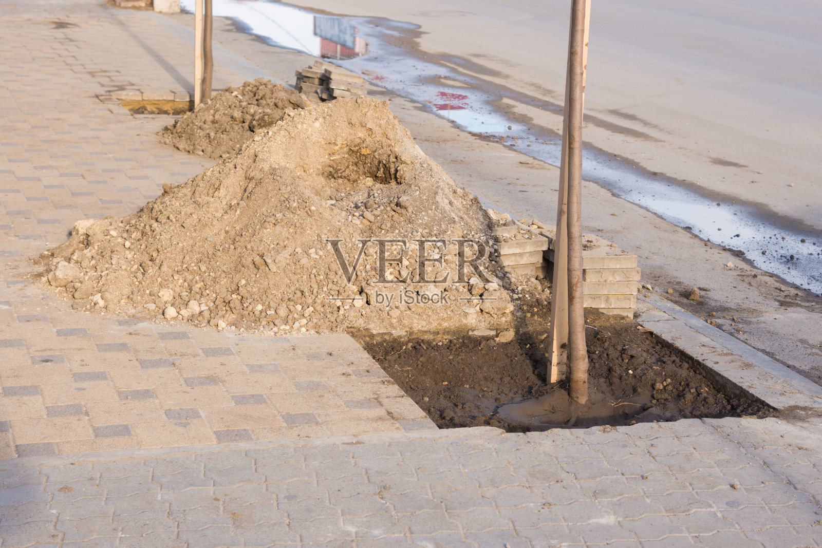 沿路种植树苗，用于绿化照片摄影图片