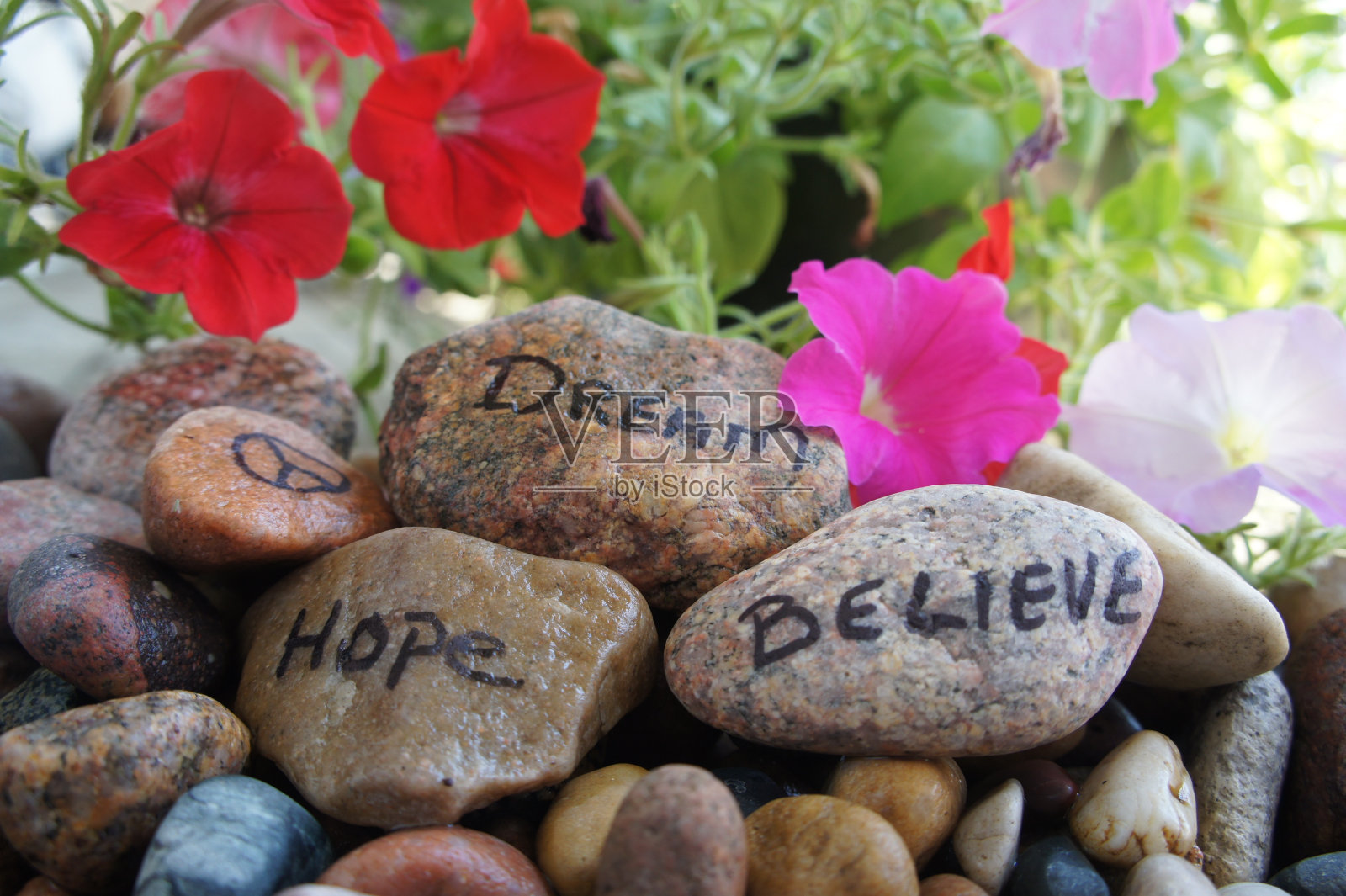 写在河石上的和平、梦想、希望和信念照片摄影图片