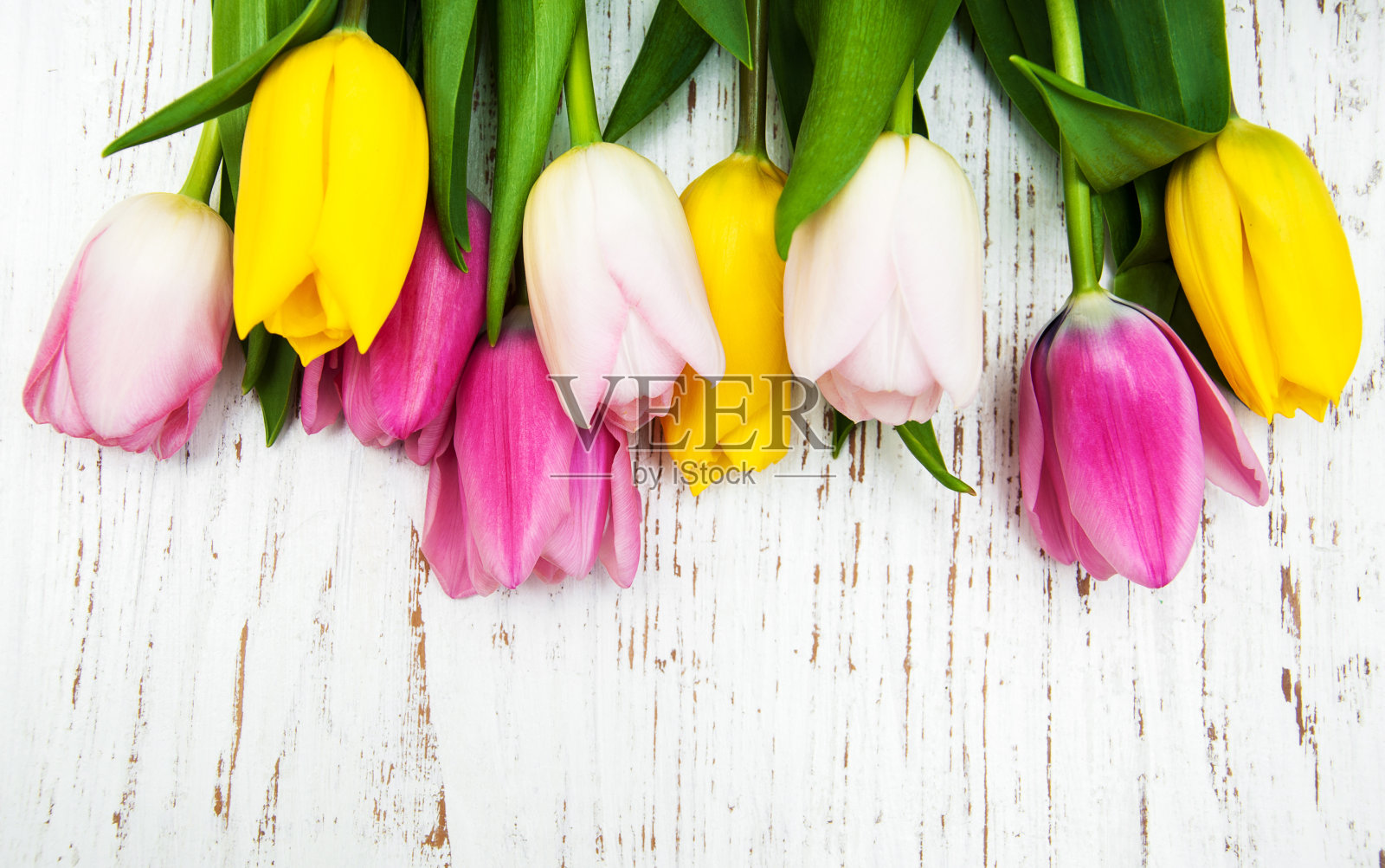 束郁金香照片摄影图片