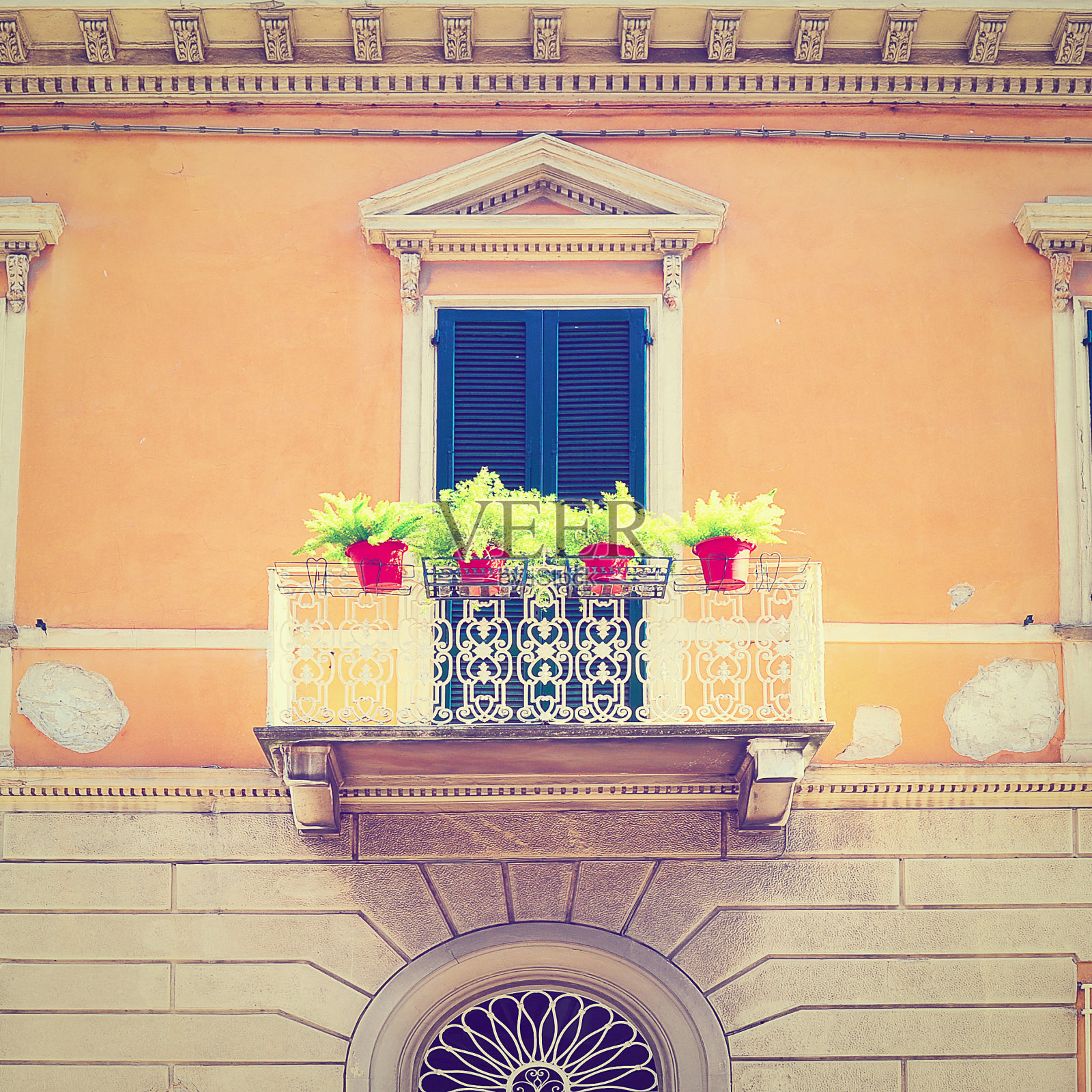 房子在比萨照片摄影图片