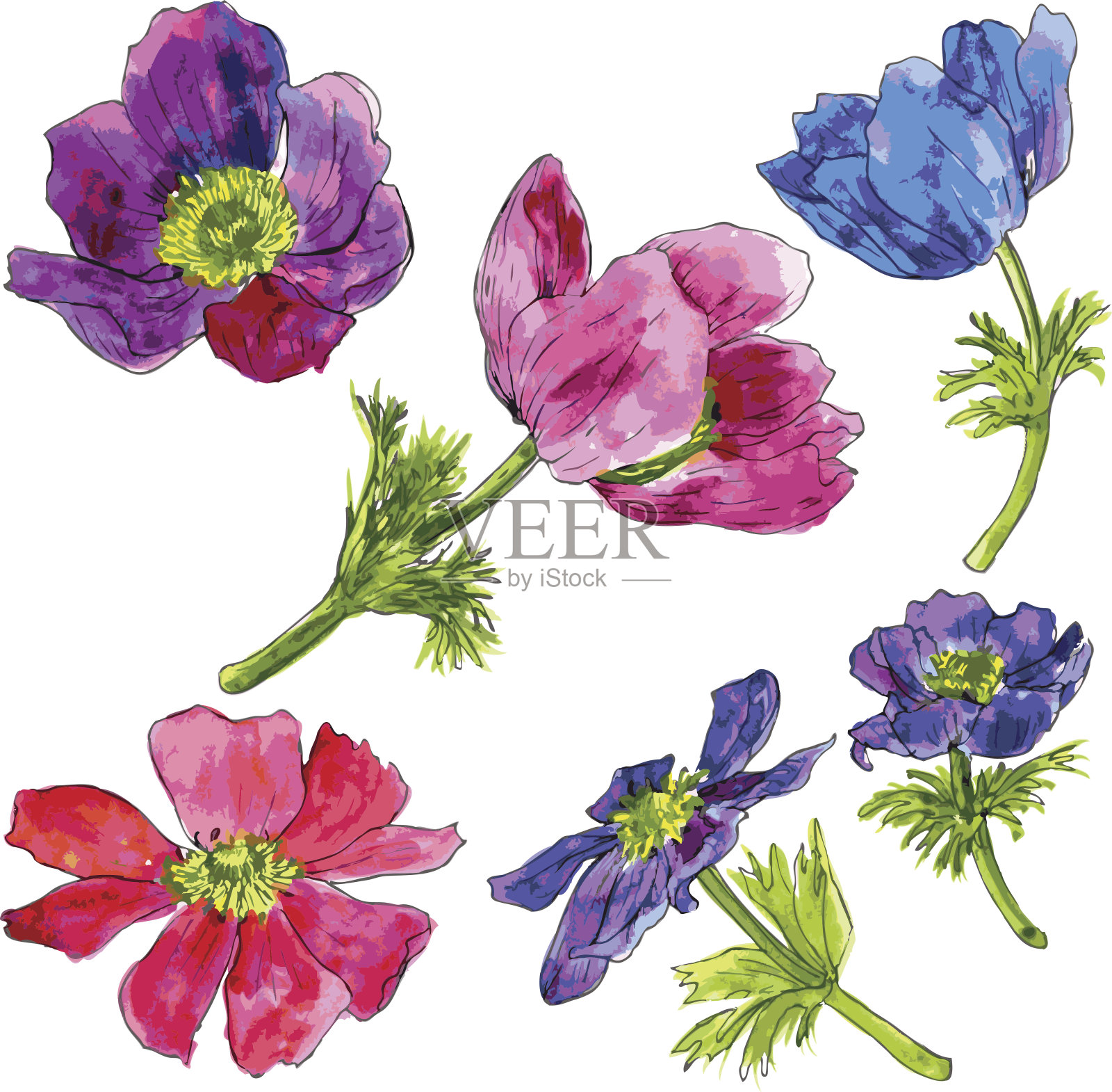 一套水彩画花插画图片素材