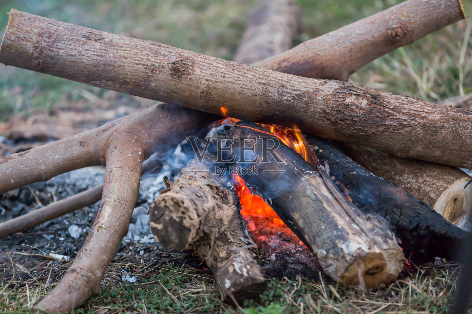 篝火在森林的草地上照片摄影图片