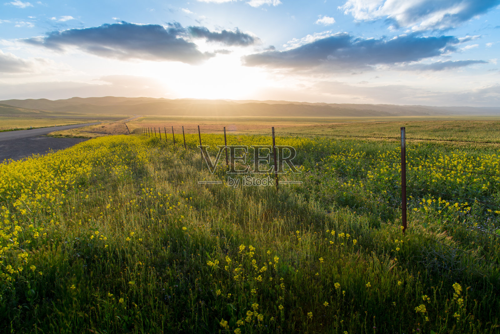 春天已经开始照片摄影图片