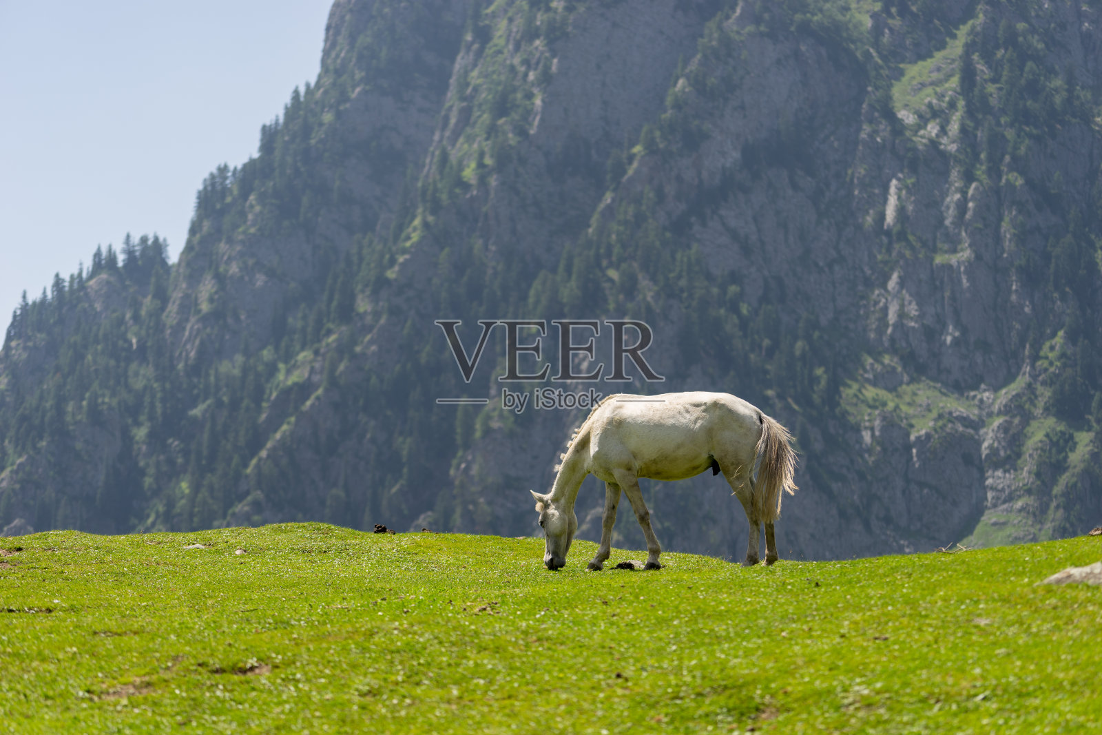 索纳玛格的白宫照片摄影图片