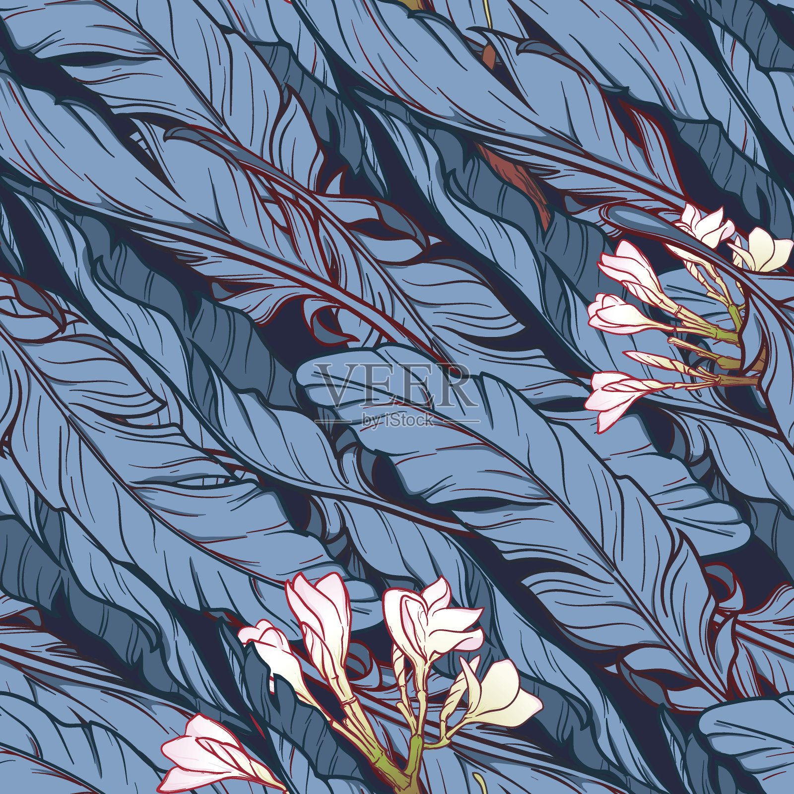 芭蕉叶与鸡蛋花呈对角线图案插画图片素材