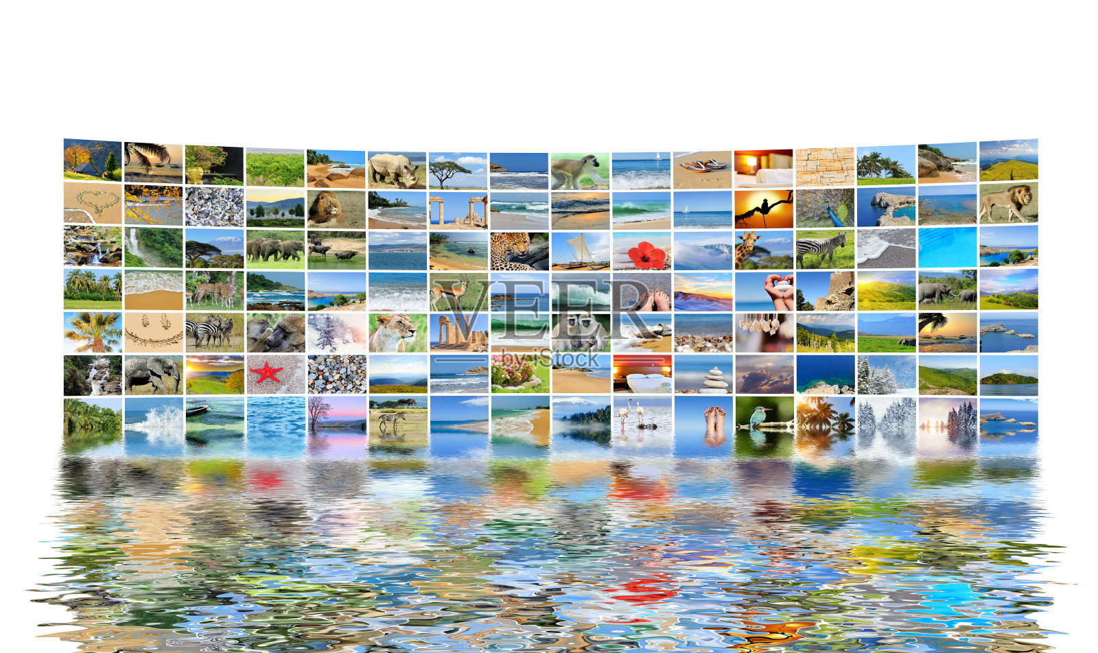 自然照片(动物，风景，海滩)照片摄影图片