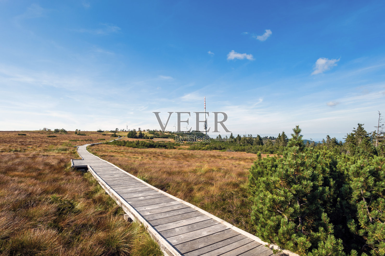 Hornisgrinde自然小道的风景照片摄影图片