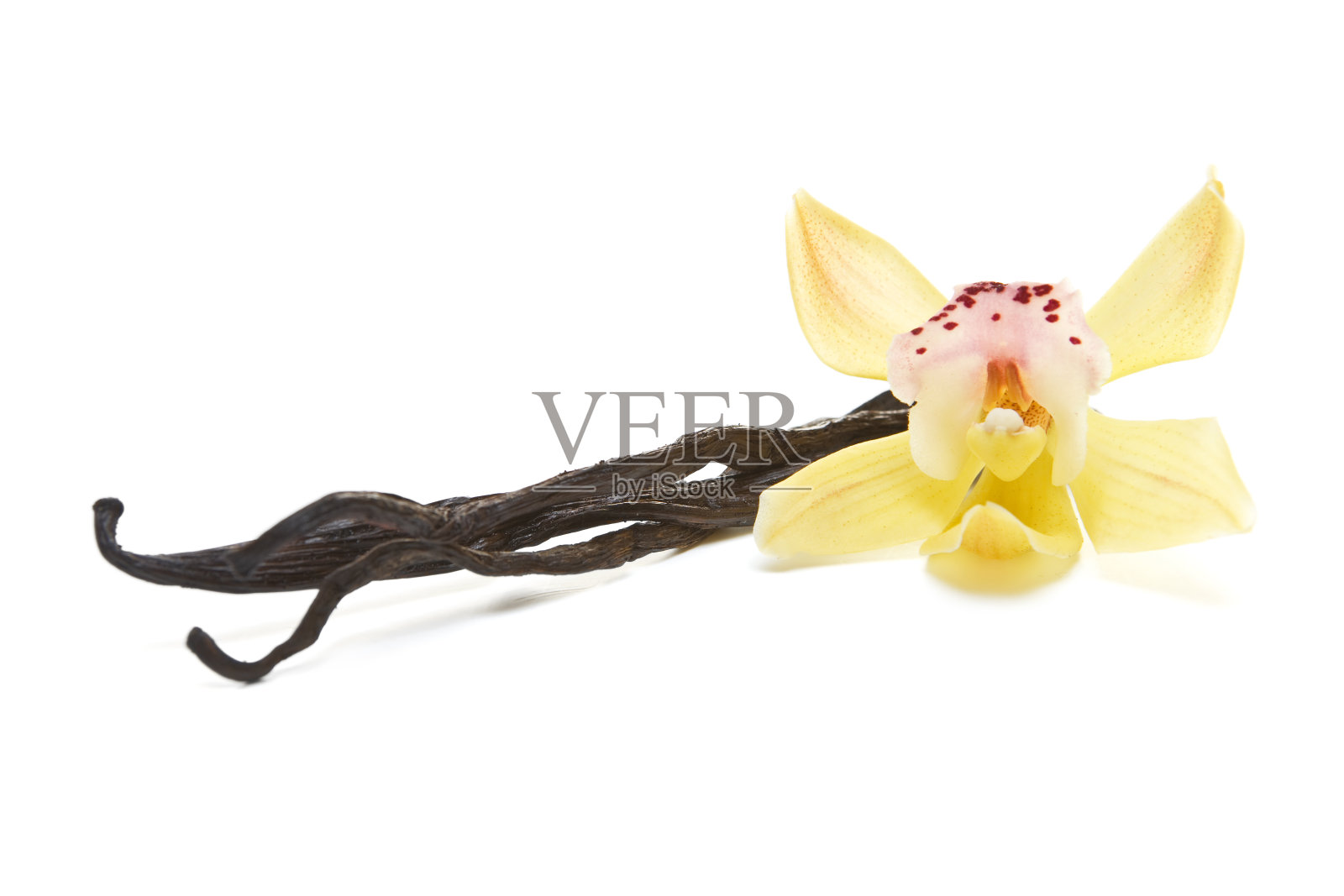 兰花和香草照片摄影图片