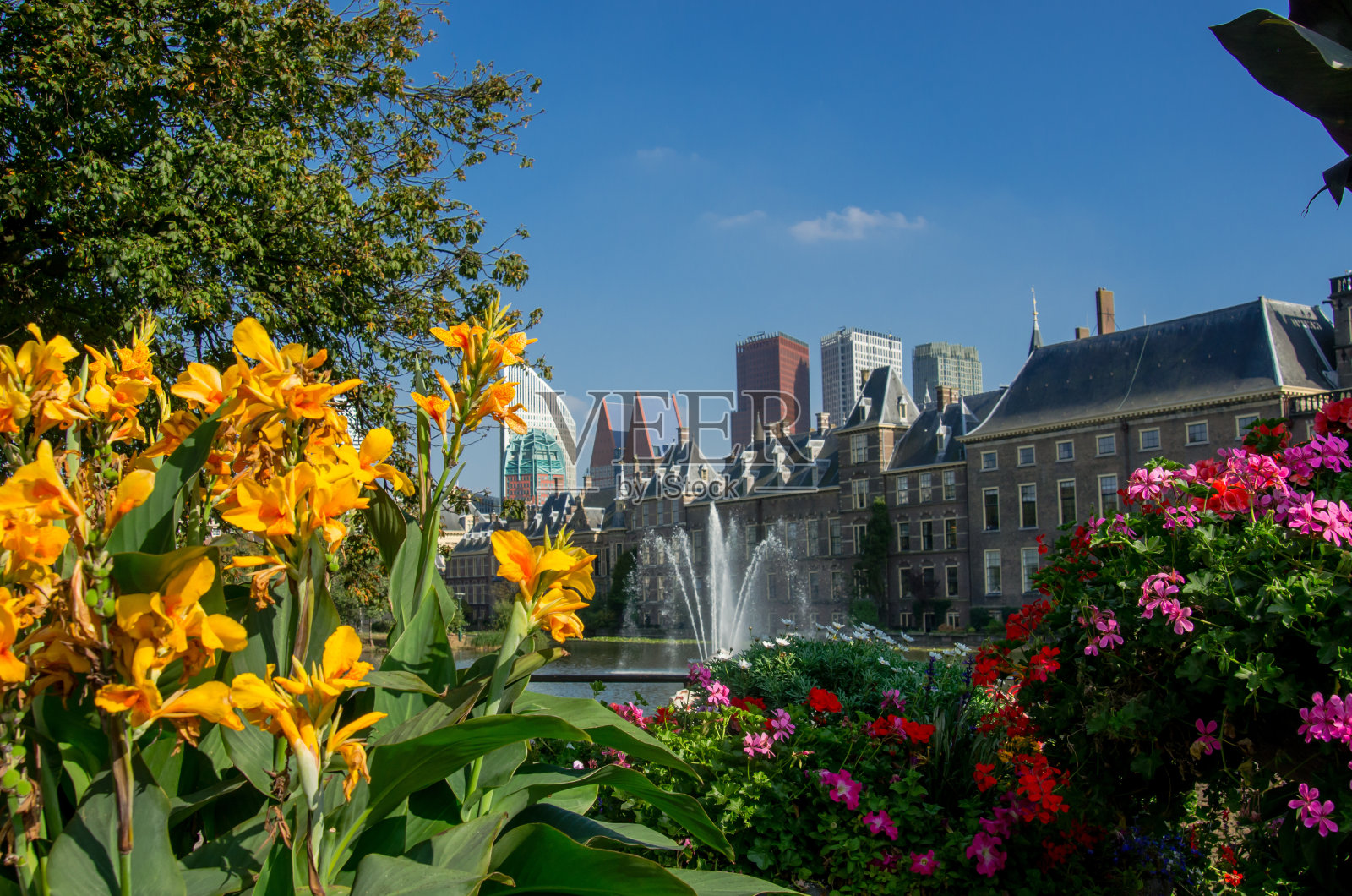 海牙政府大楼外鲜花盛开照片摄影图片