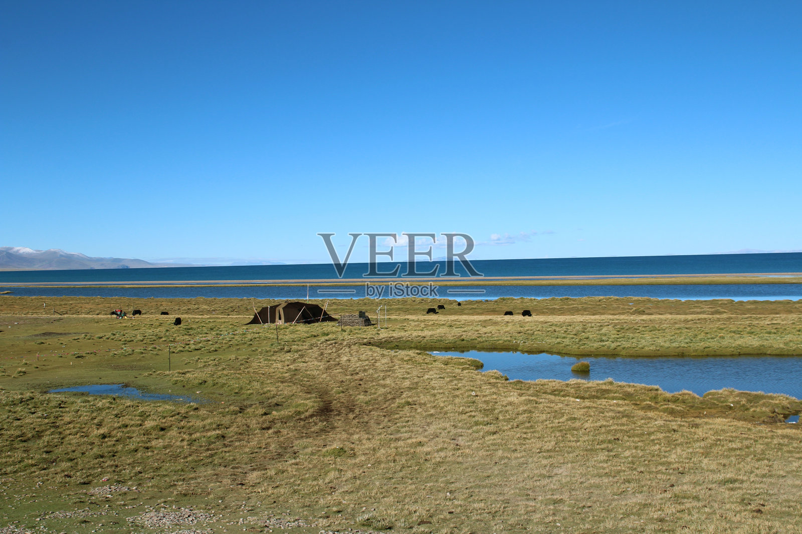 西藏纳木措附近美丽的草原照片摄影图片