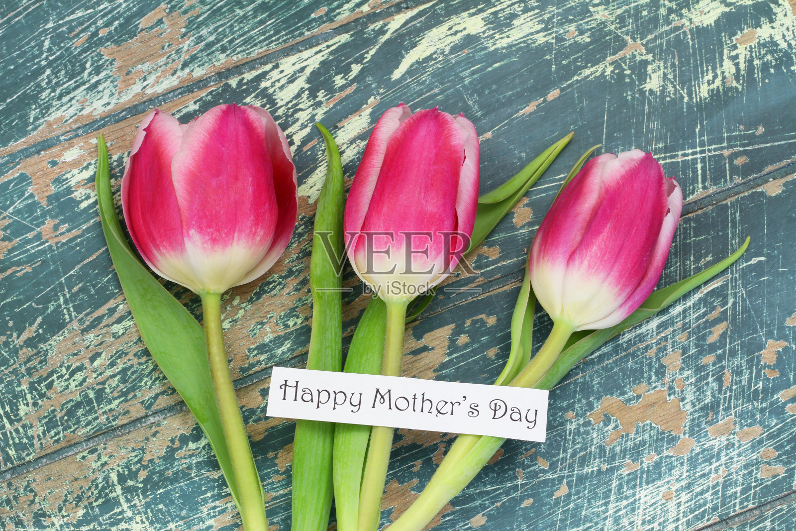 粉红色郁金香的母亲节快乐卡片照片摄影图片