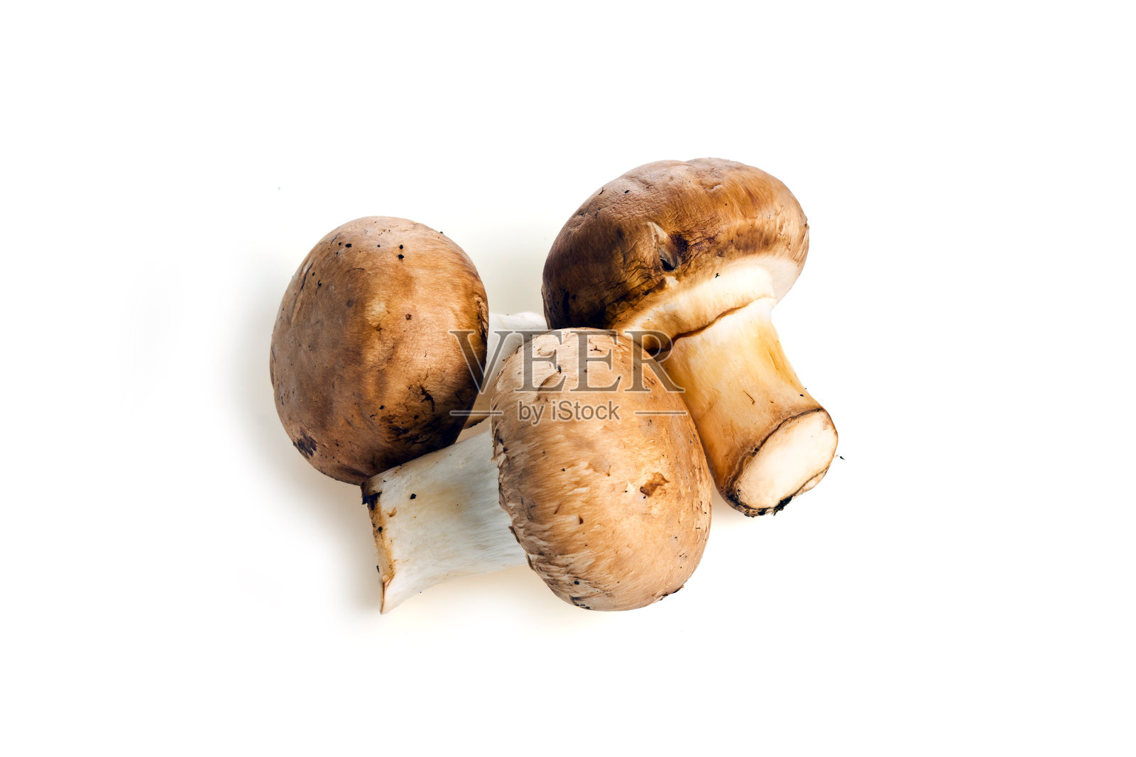 白色背景上的香槟照片摄影图片