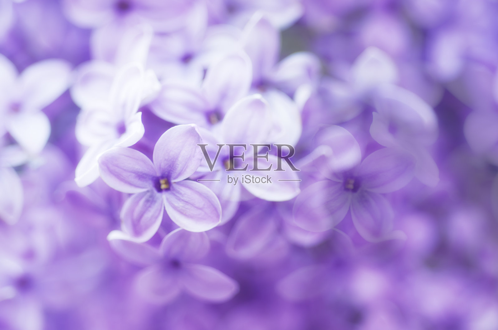 抽象的背景照片摄影图片