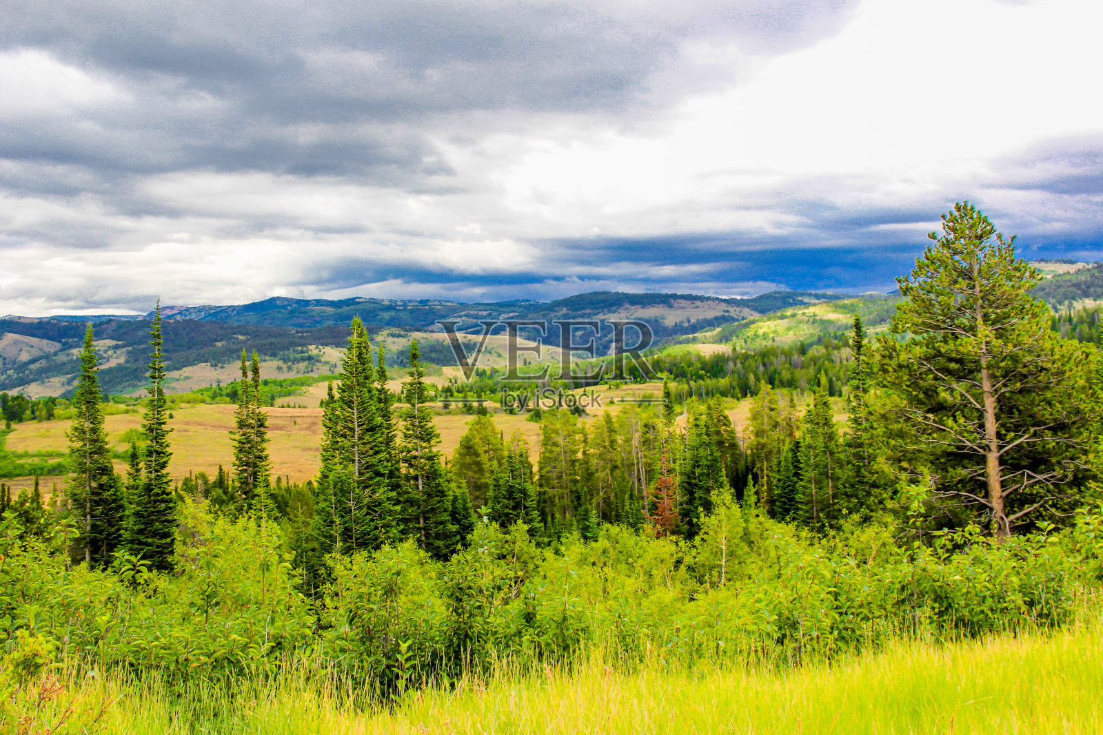 逃照片摄影图片