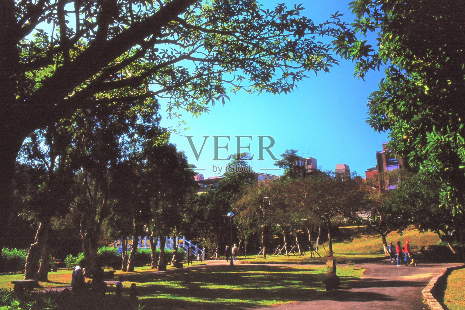 大湖公园，周日上午照片摄影图片