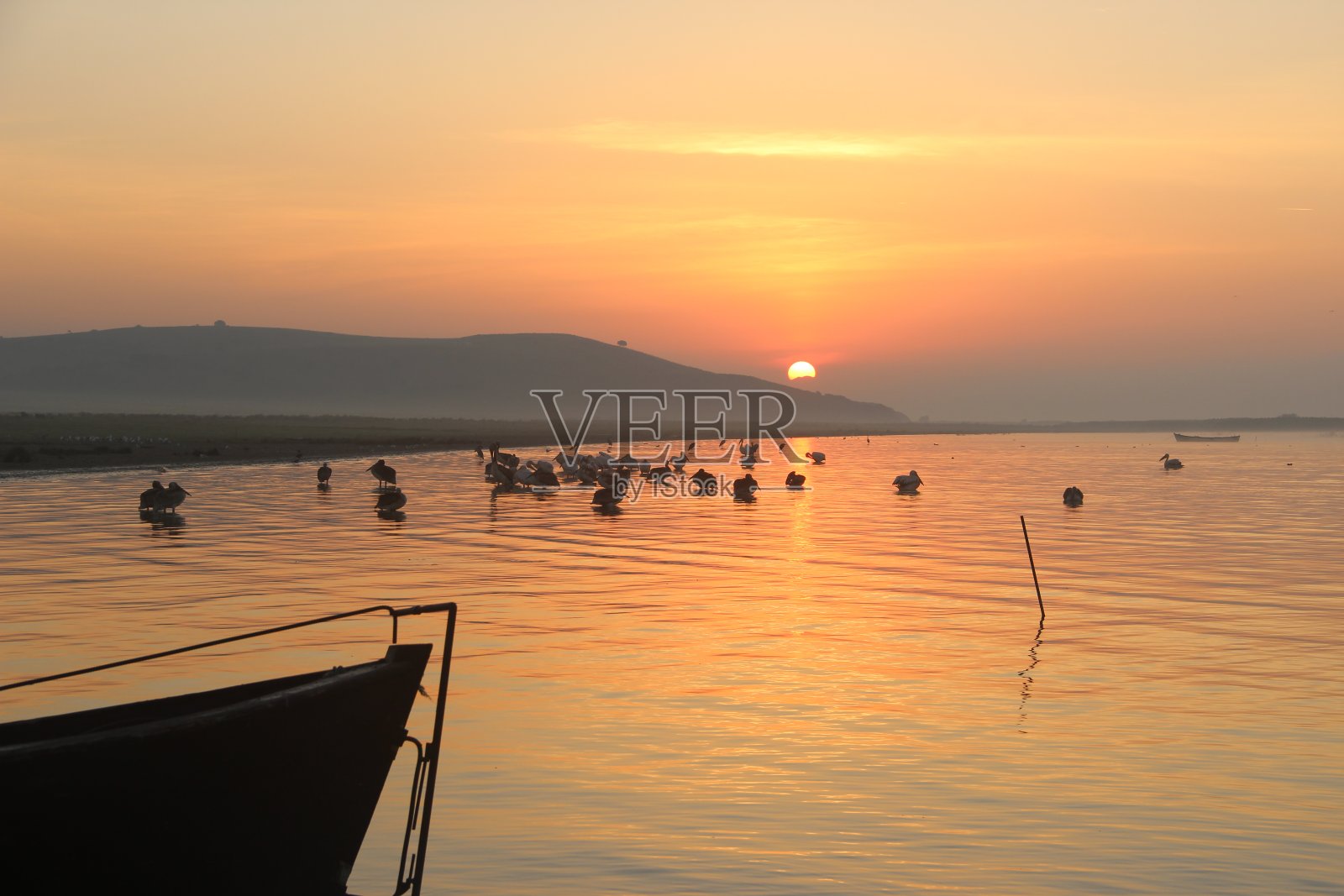 日出、船、海和鹳、候鸟照片摄影图片