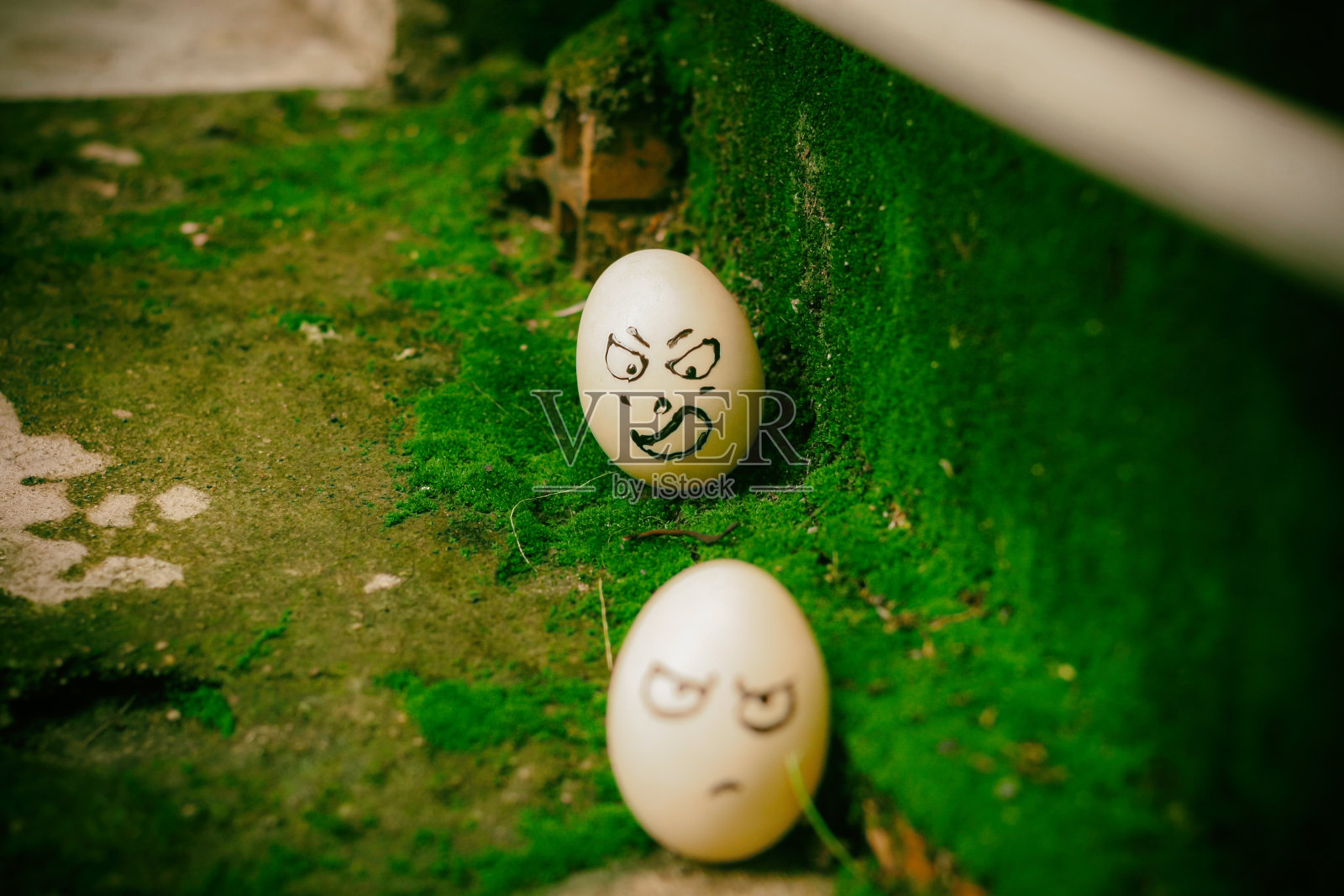 复活节彩蛋的高角度视图照片摄影图片