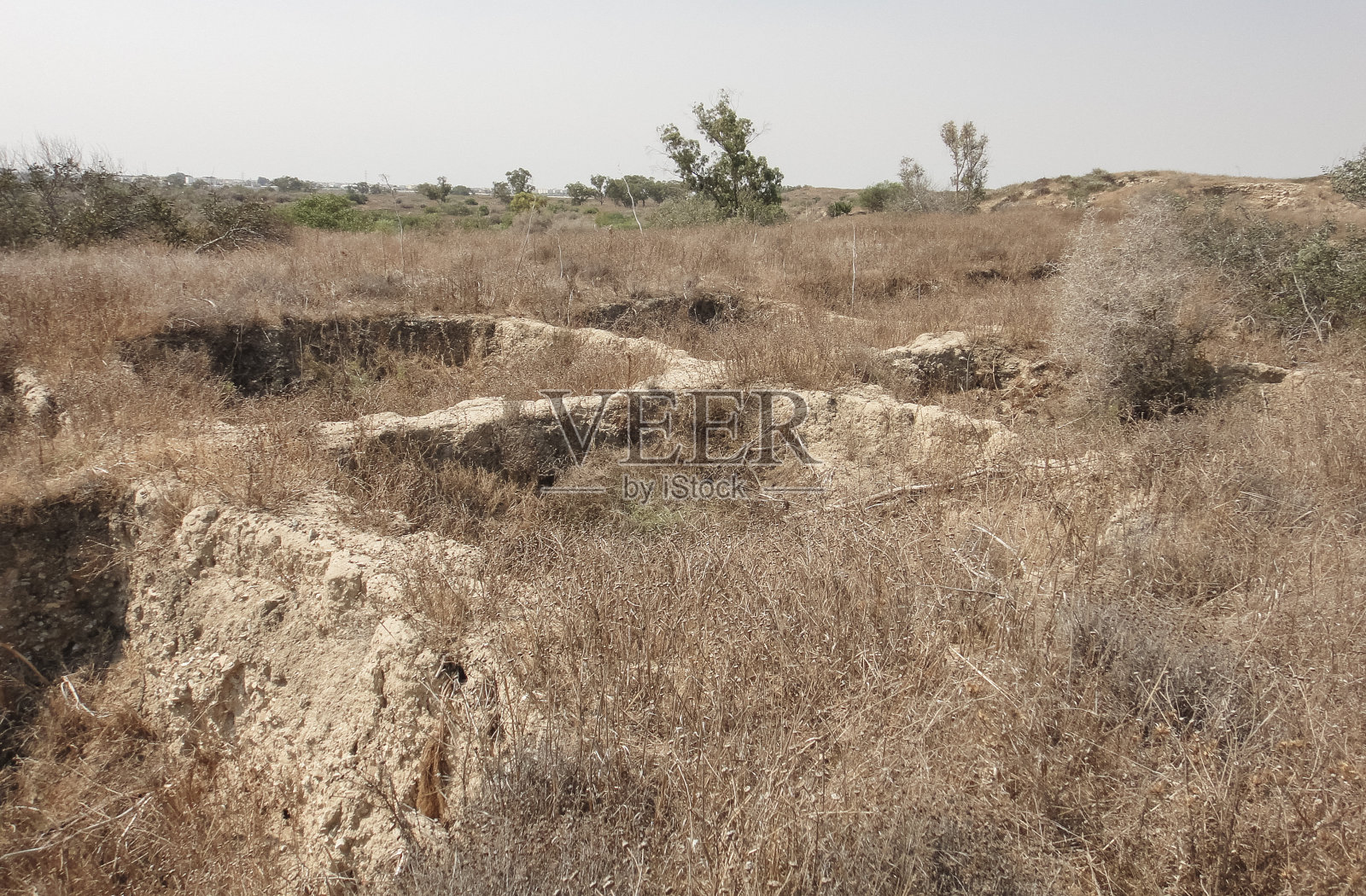 法玛古斯塔附近的萨拉米斯古城遗址照片摄影图片